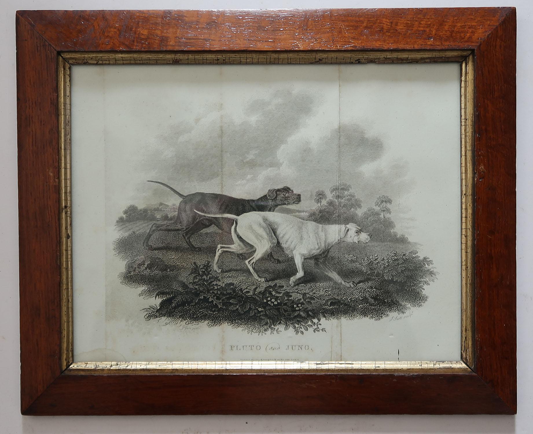 Other Set of 6 Original Antique Sporting Prints in Pollard Oak Frames, C.1810
