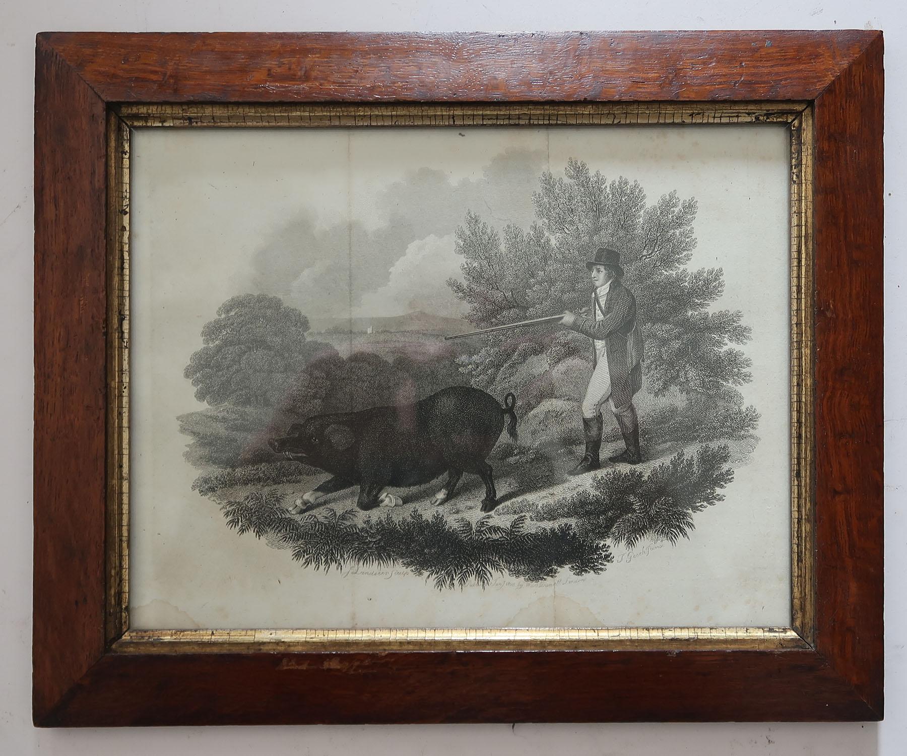 Set of 6 Original Antique Sporting Prints in Pollard Oak Frames, C.1810 In Good Condition In St Annes, Lancashire