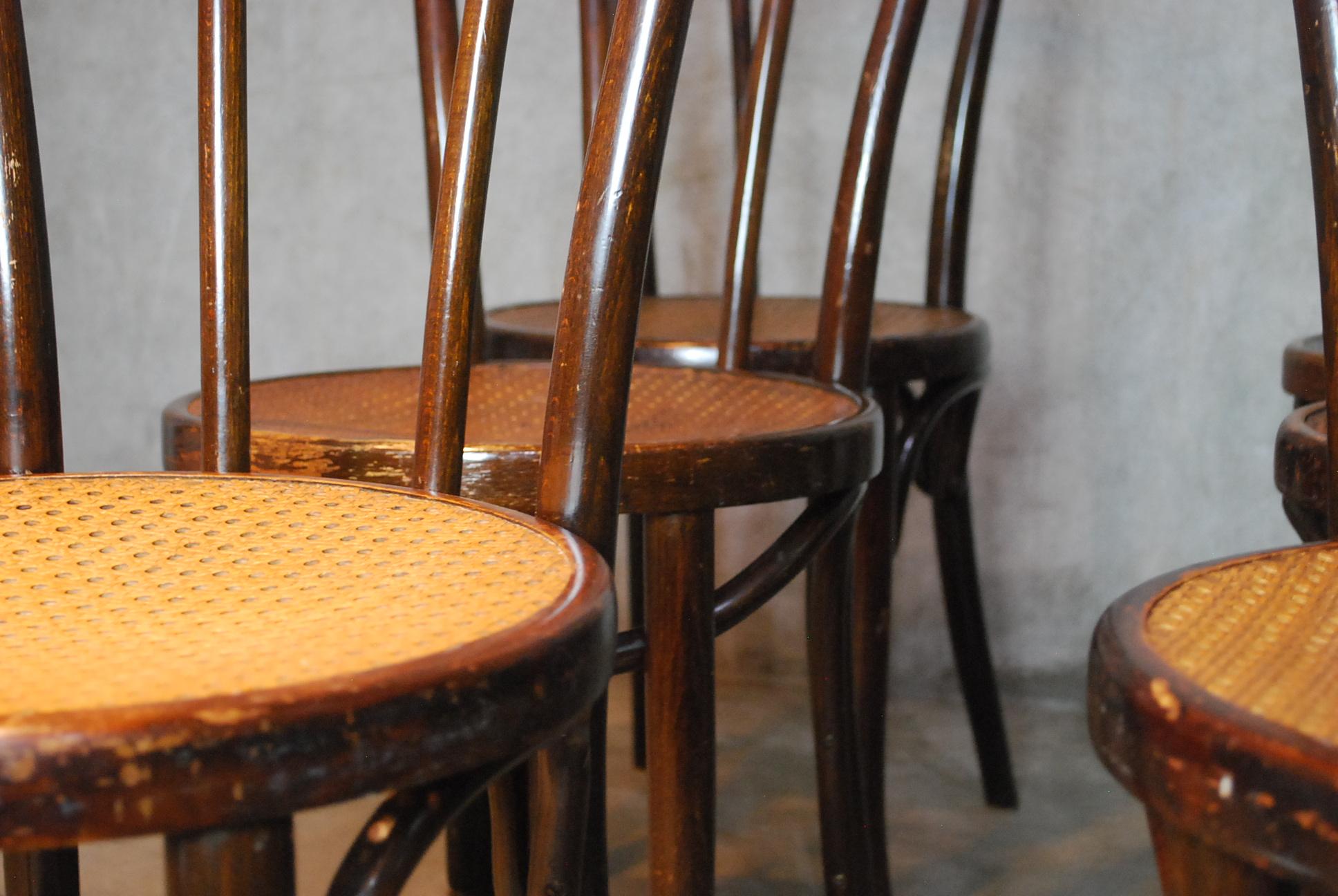 Vienna Secession Set of 6 Original Bentwood Chairs by JJ kohn & Mundus