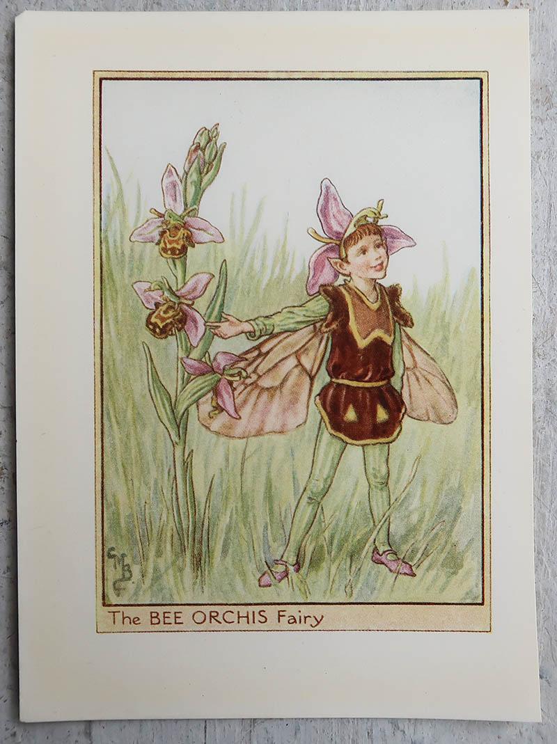 Anglais Ensemble de 6 gravures originales de fées fleuries, circa 1930 en vente