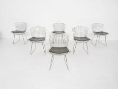 Set of 6 Original Vintage Harry Bertoia for Knoll Wire Dining or Side Chairs
