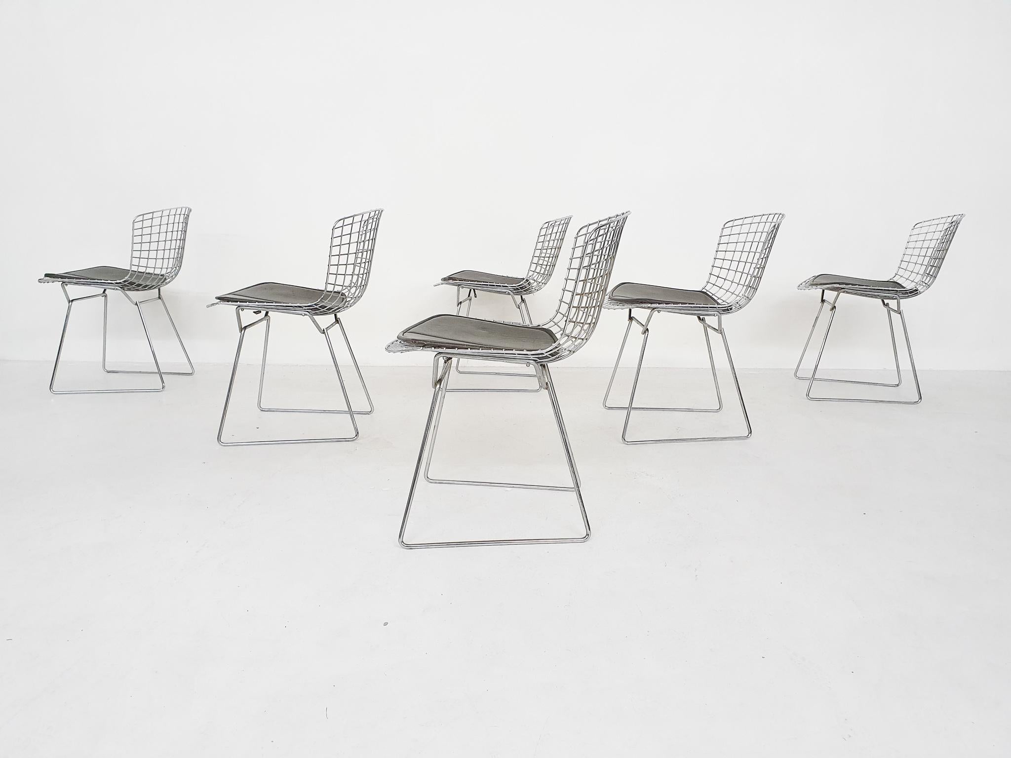 North American Set of 6 Original Vintage Harry Bertoia for Knoll Wire Dining or Side Chairs