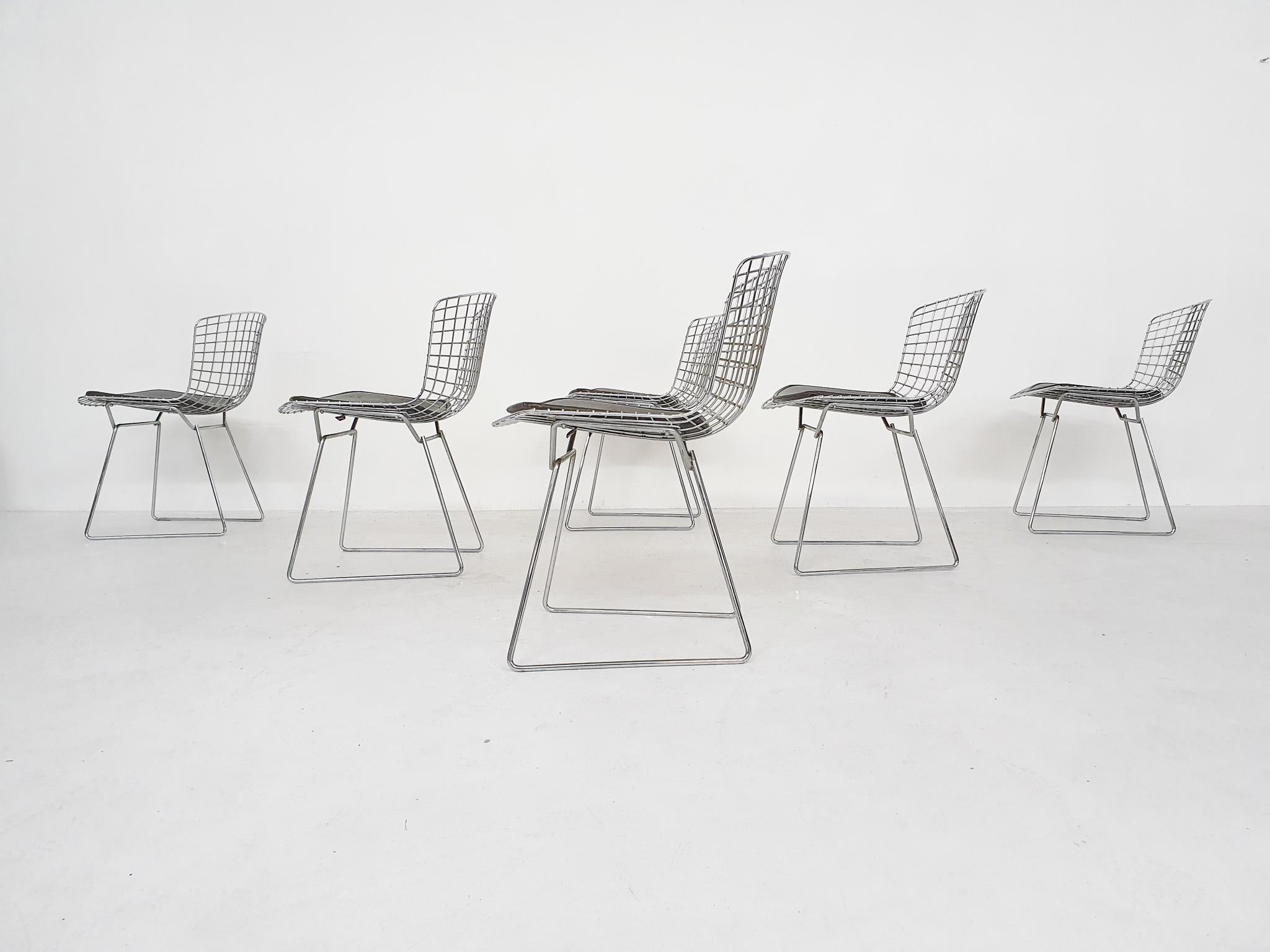 Set of 6 Original Vintage Harry Bertoia for Knoll Wire Dining or Side Chairs In Good Condition In Amsterdam, NL