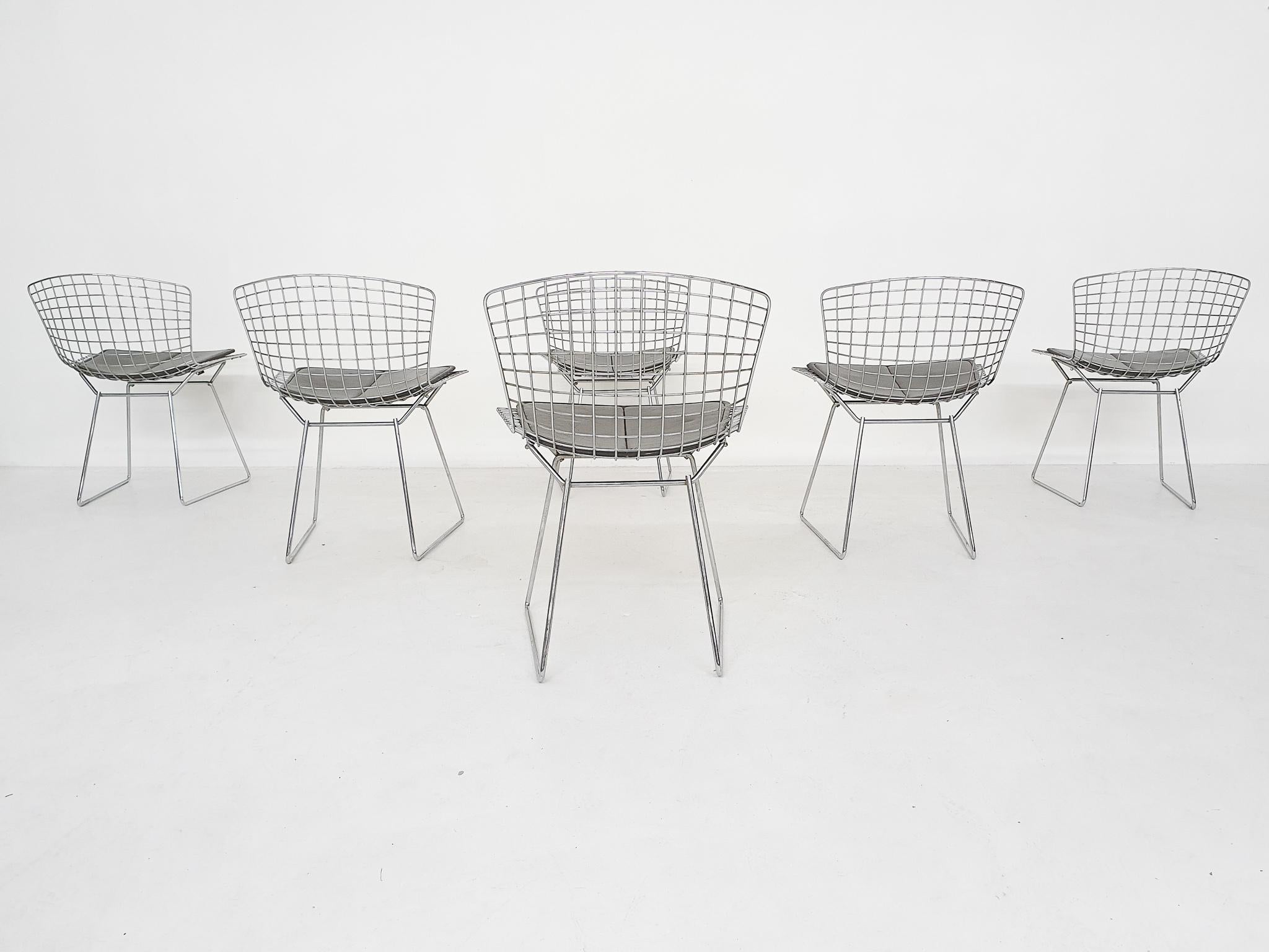 Mid-20th Century Set of 6 Original Vintage Harry Bertoia for Knoll Wire Dining or Side Chairs