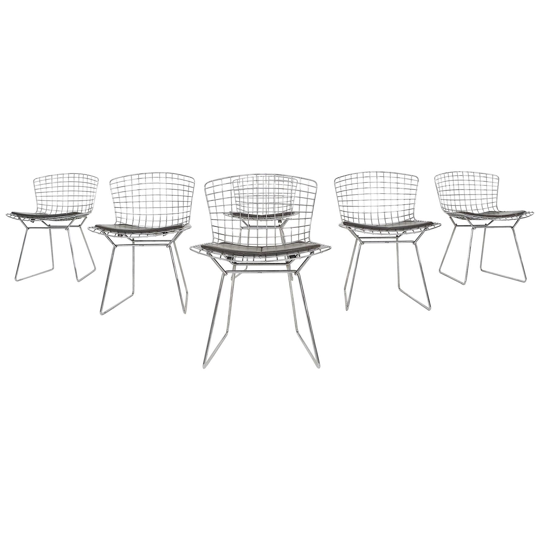 Set of 6 Original Vintage Harry Bertoia for Knoll Wire Dining or Side Chairs at 1stDibs