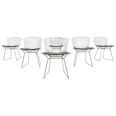 Set of 6 Original Vintage Harry Bertoia for Knoll Wire Dining or Side Chairs