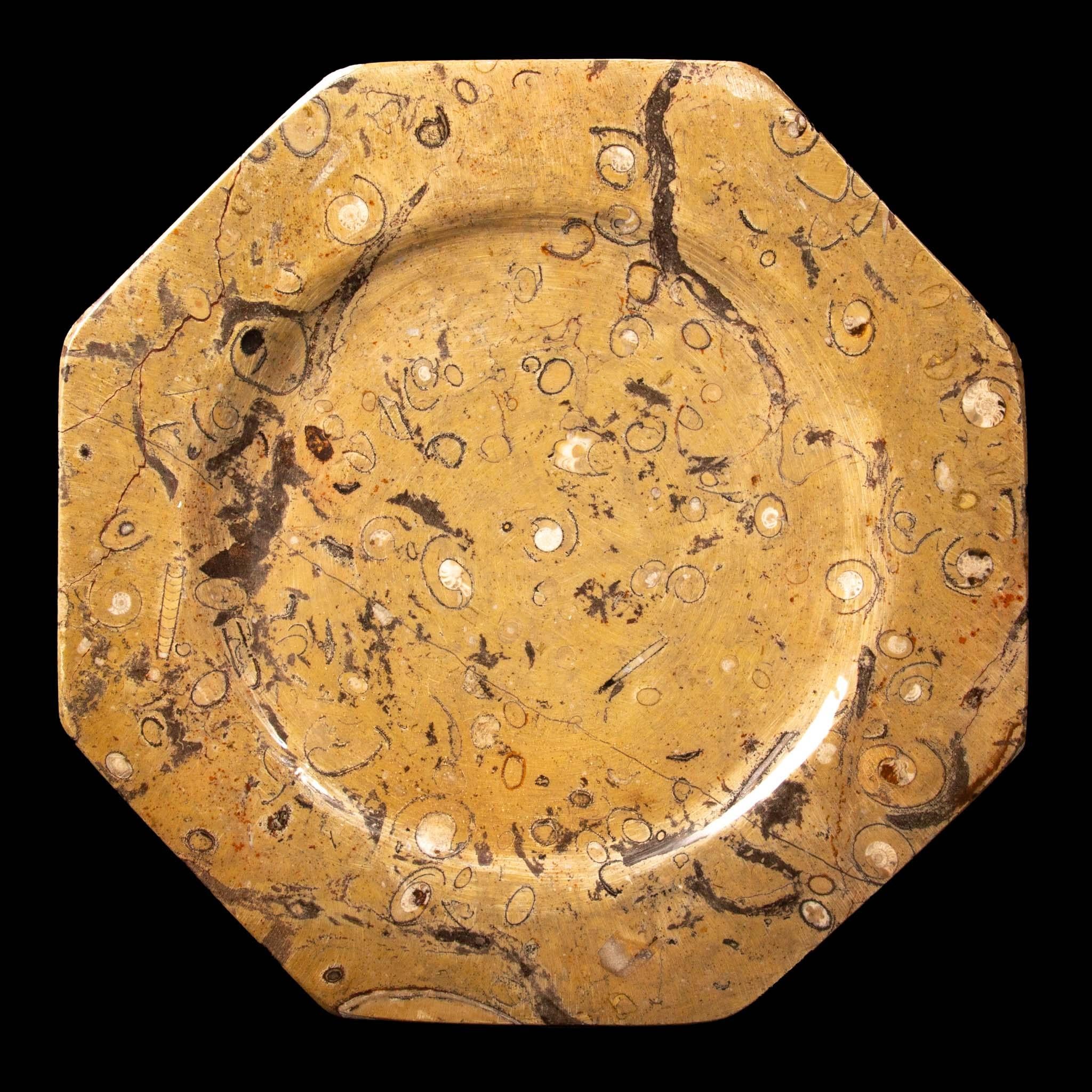 Pietra Set di 6 piatti di Orthoceras/pietre fossili, 12,5 pollici in vendita