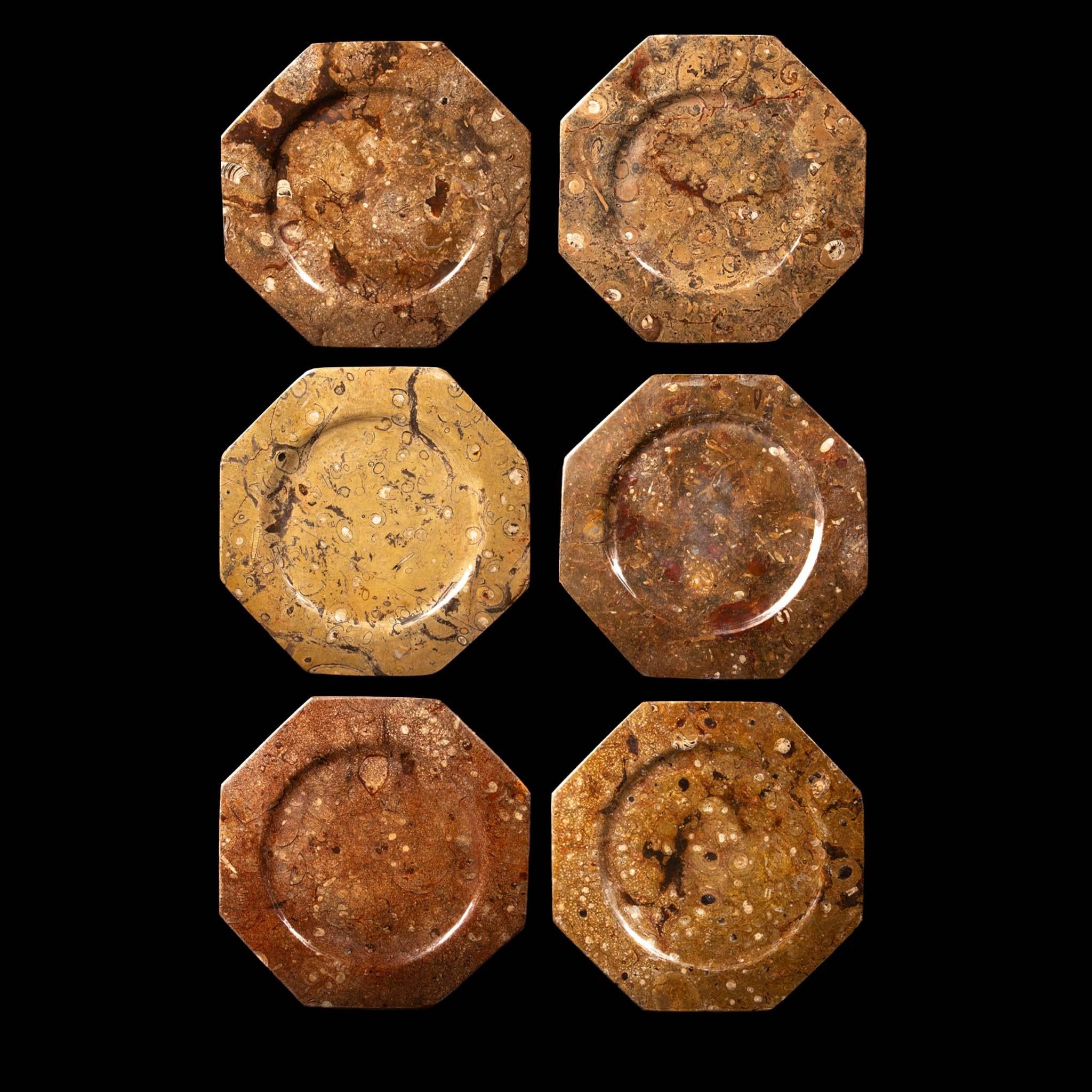 Set di 6 piatti di Orthoceras/pietre fossili, 12,5 pollici in vendita 3