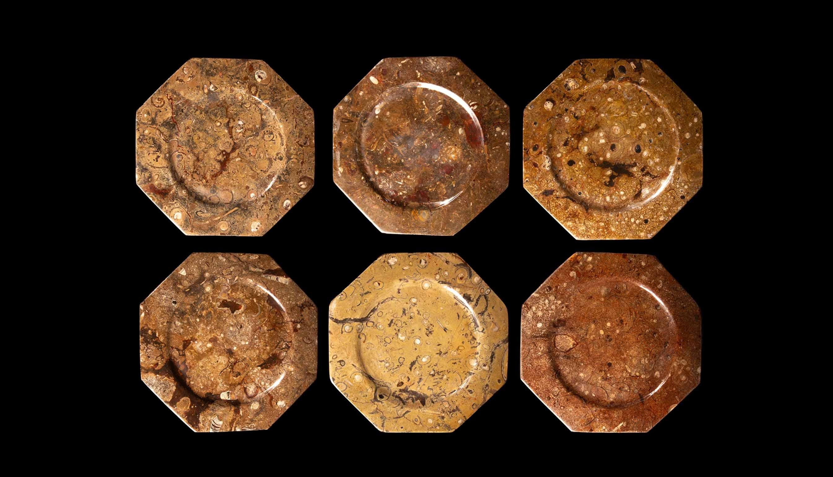 Set di 6 piatti di Orthoceras/pietre fossili, 12,5 pollici in vendita 4