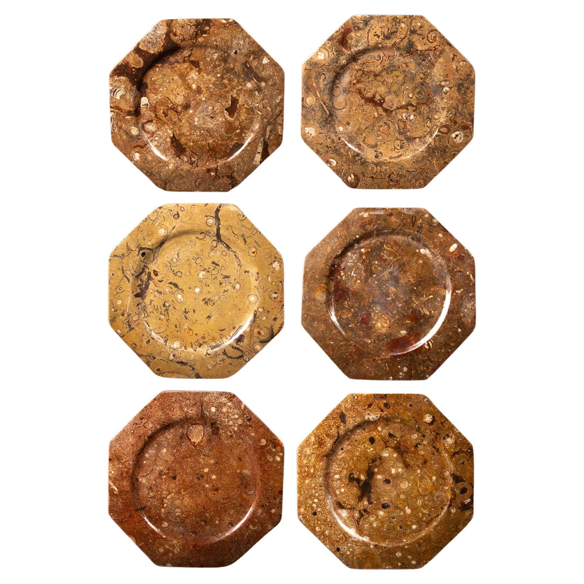 Set di 6 piatti di Orthoceras/pietre fossili, 12,5 pollici in vendita