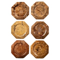 Set of 6 Orthoceras/Fossil Stone plates, 12.5"