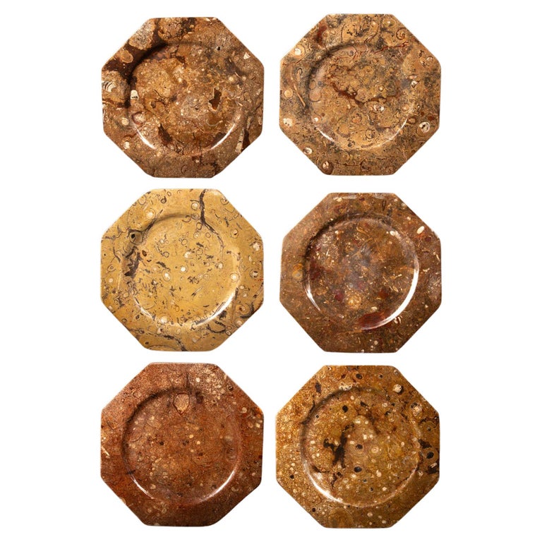 Set of 6 Orthoceras Fossil-Stone plates, new, offered by Creel and Gow