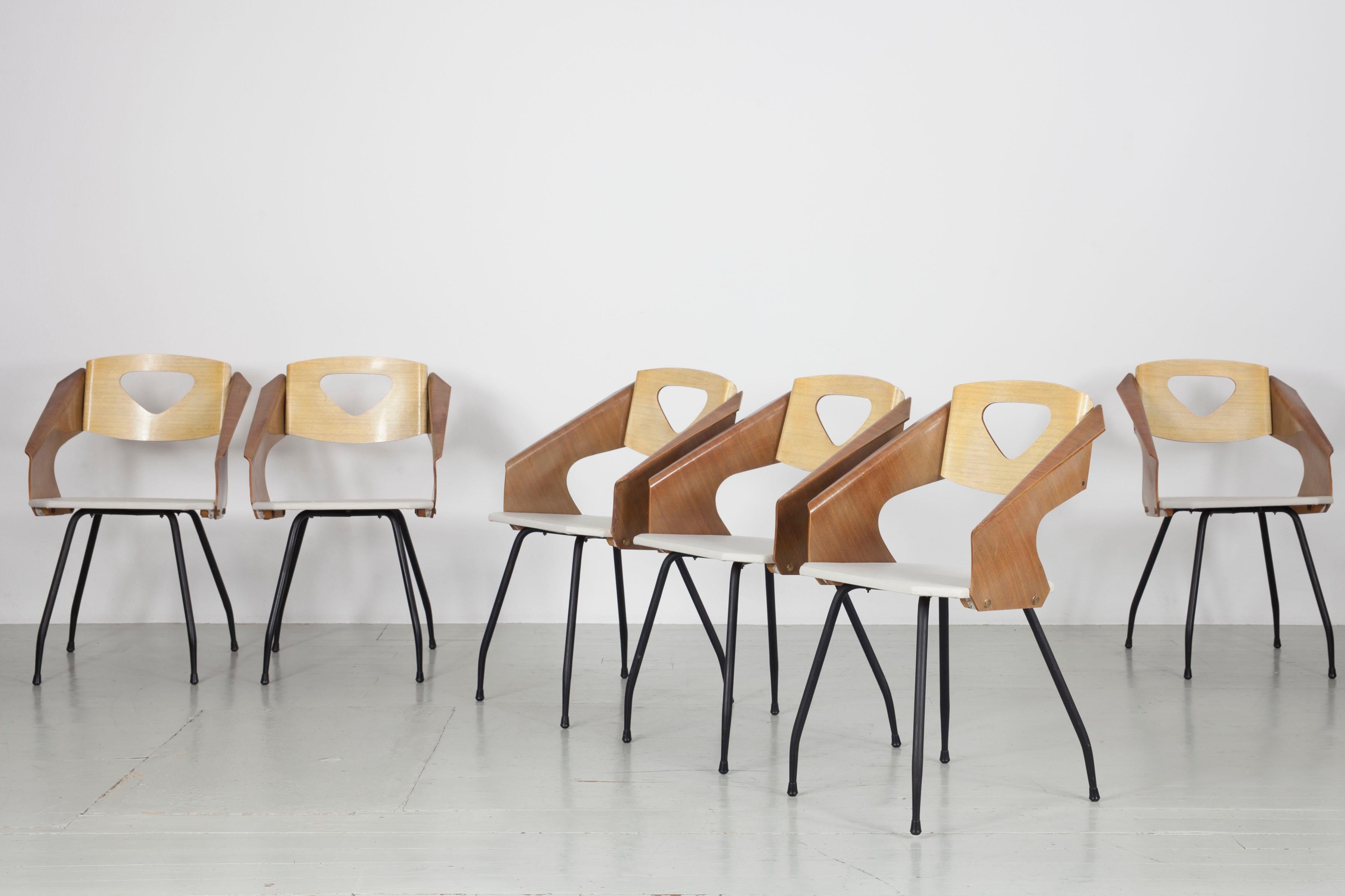 Set of 6 plywood chairs, 1950s, Carlo Ratti, Italy, Industria Legni Curvati For Sale 3