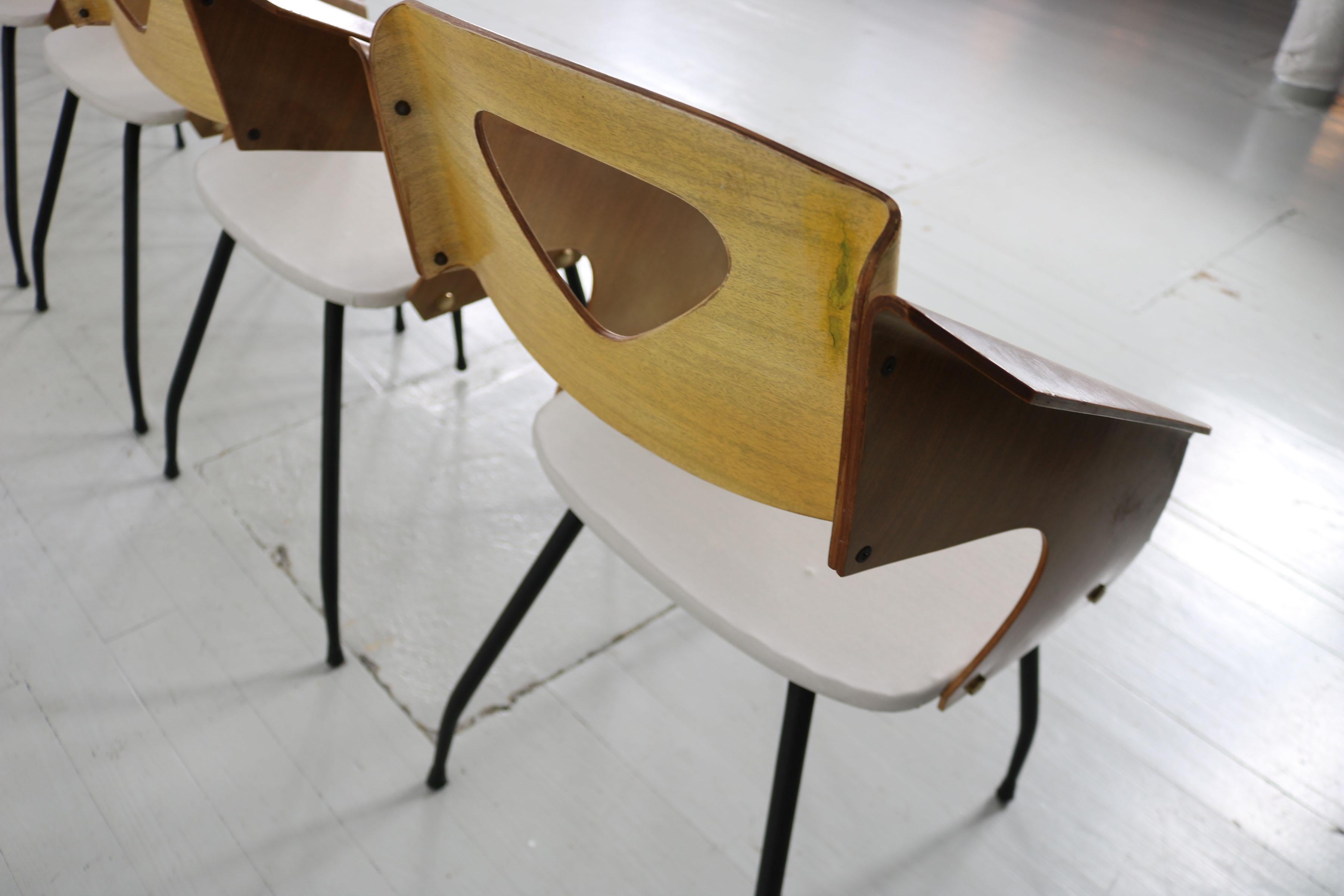 Set of 6 plywood chairs, 1950s, Carlo Ratti, Italy, Industria Legni Curvati For Sale 12