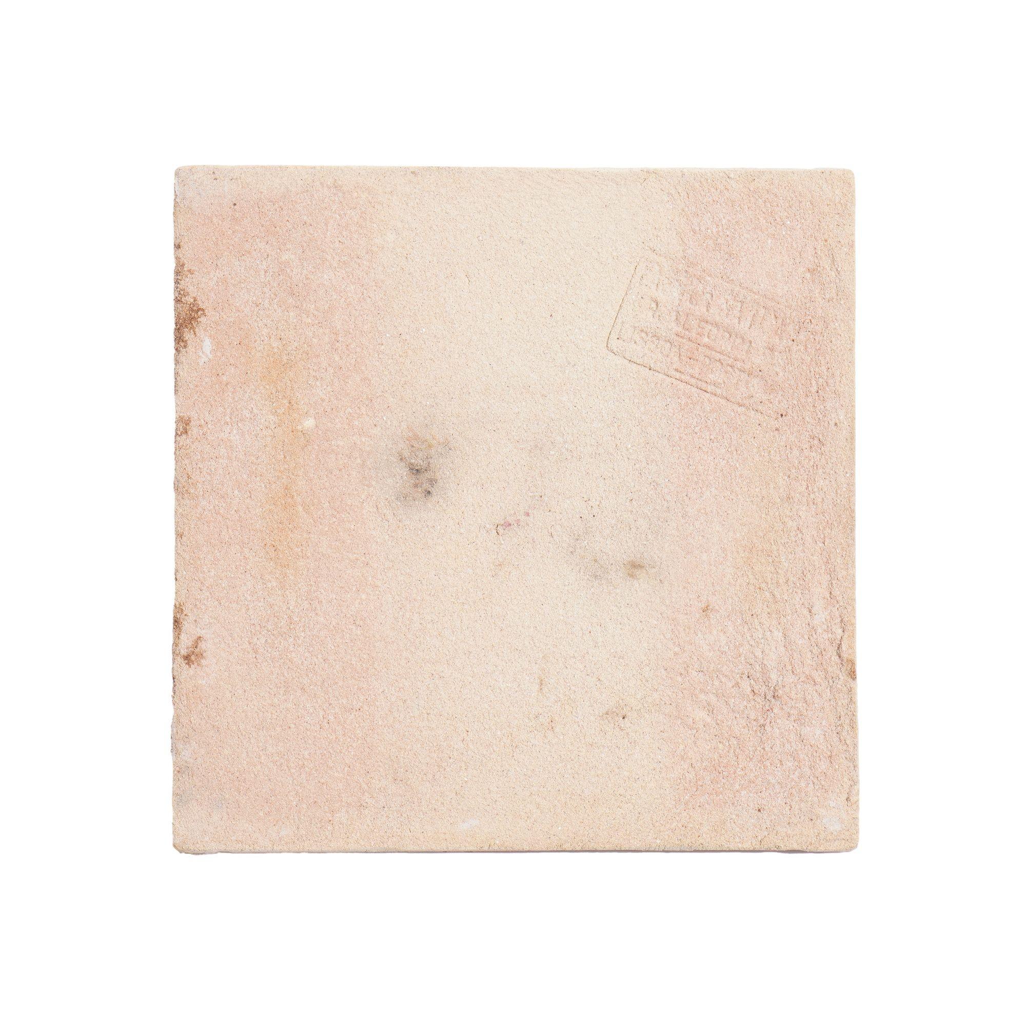 Ensemble de 6 carreaux de faïence botanique portugais peints à la main par Fábrica Sant'Anna en vente 4