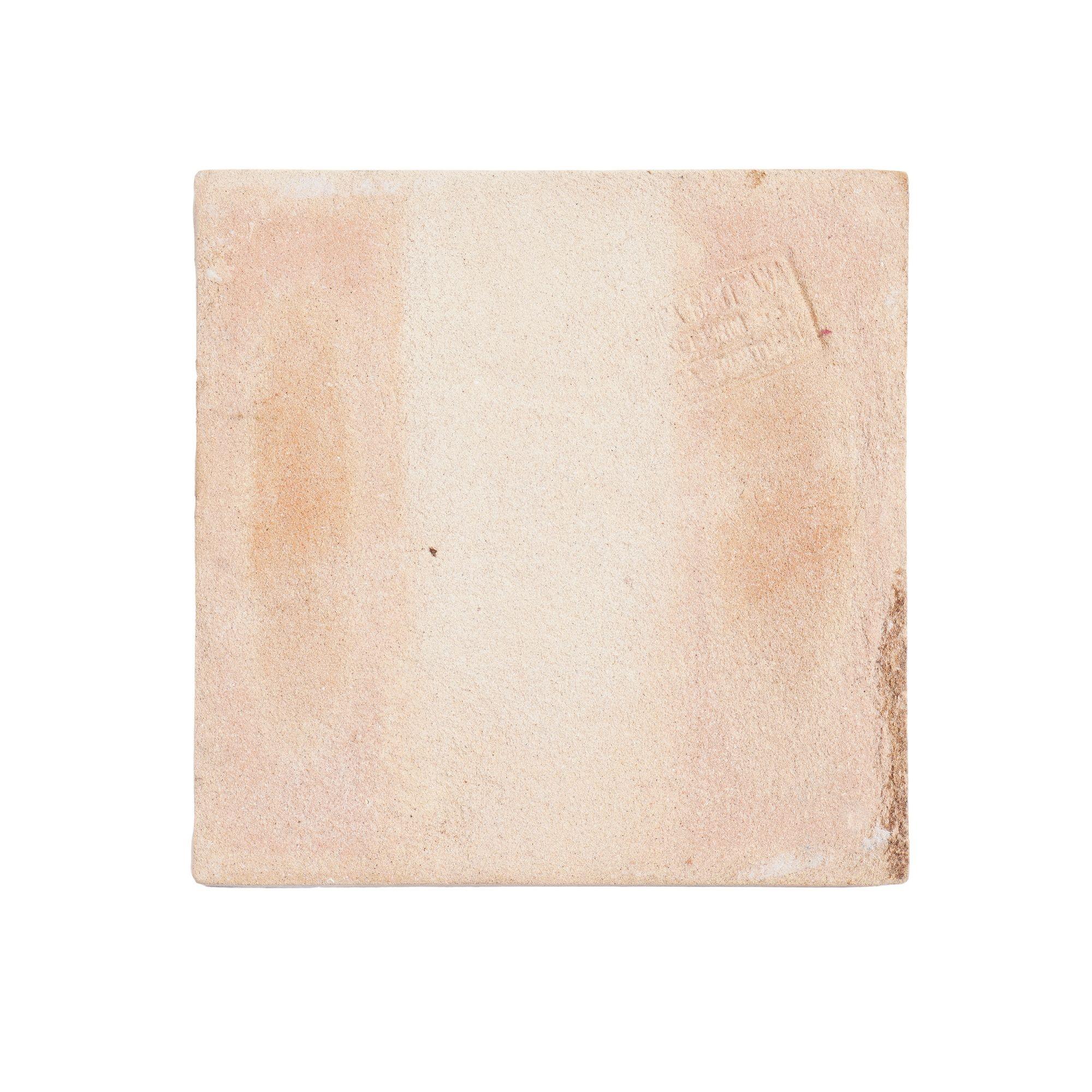 Ensemble de 6 carreaux de faïence botanique portugais peints à la main par Fábrica Sant'Anna Bon état - En vente à Kenilworth, IL