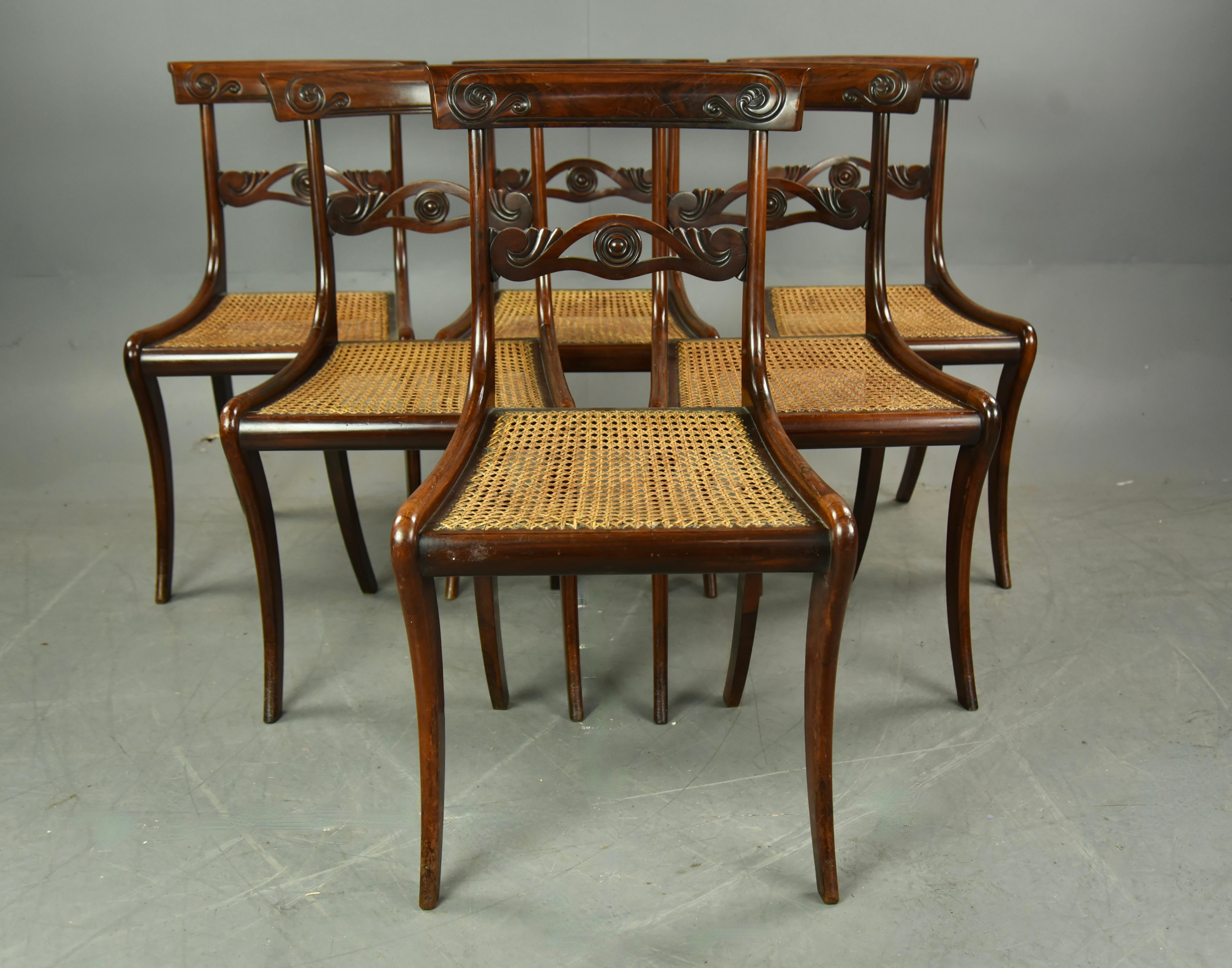 English Set of 6 Regency Rosewood dining chairs 