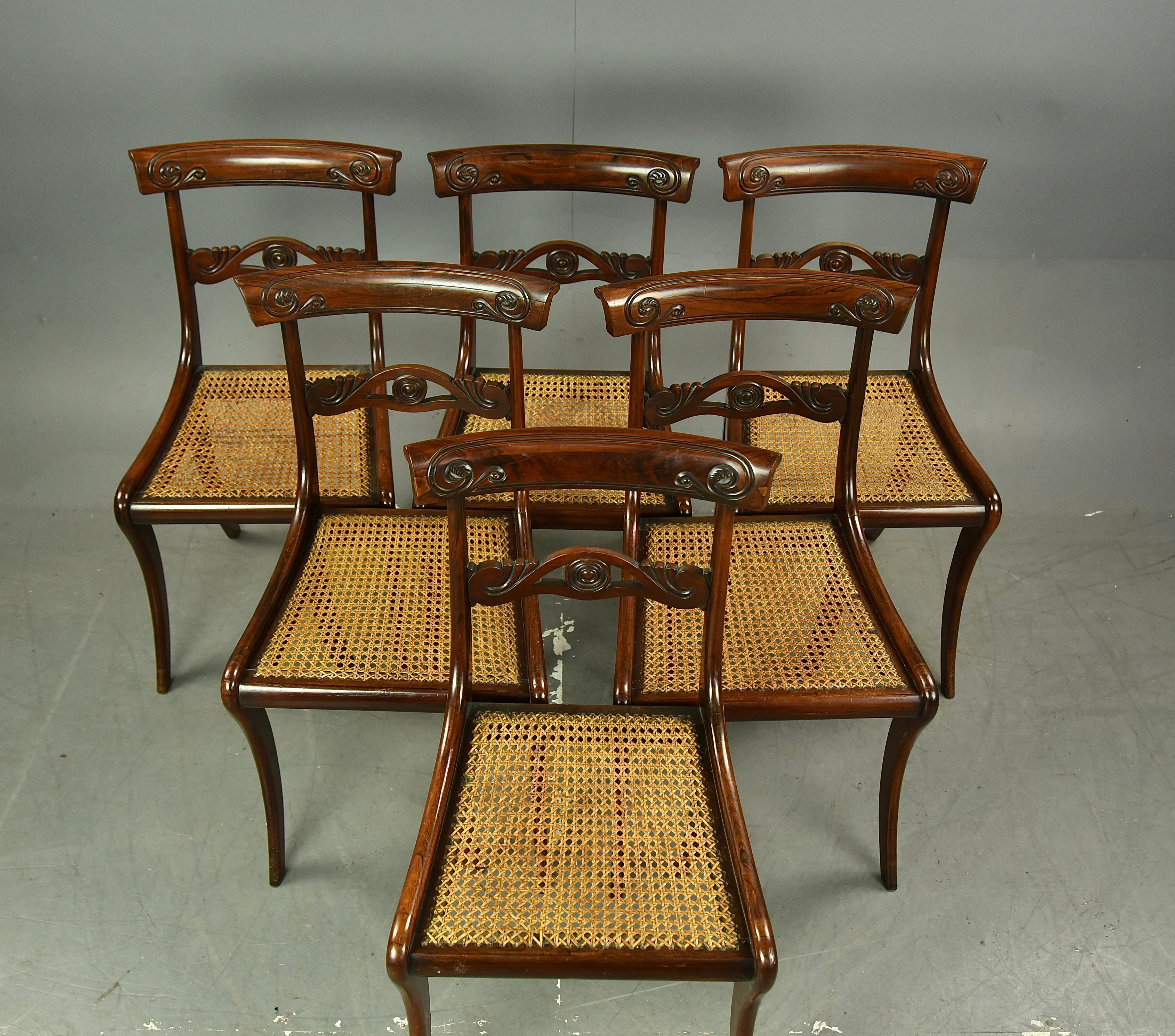 Set of 6 Regency Rosewood dining chairs  In Good Condition In Chelmsford, GB