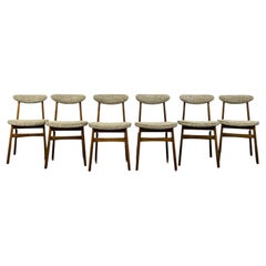Set of 6 restored dining chairs by Rajmund Teofil Hałas 1960's