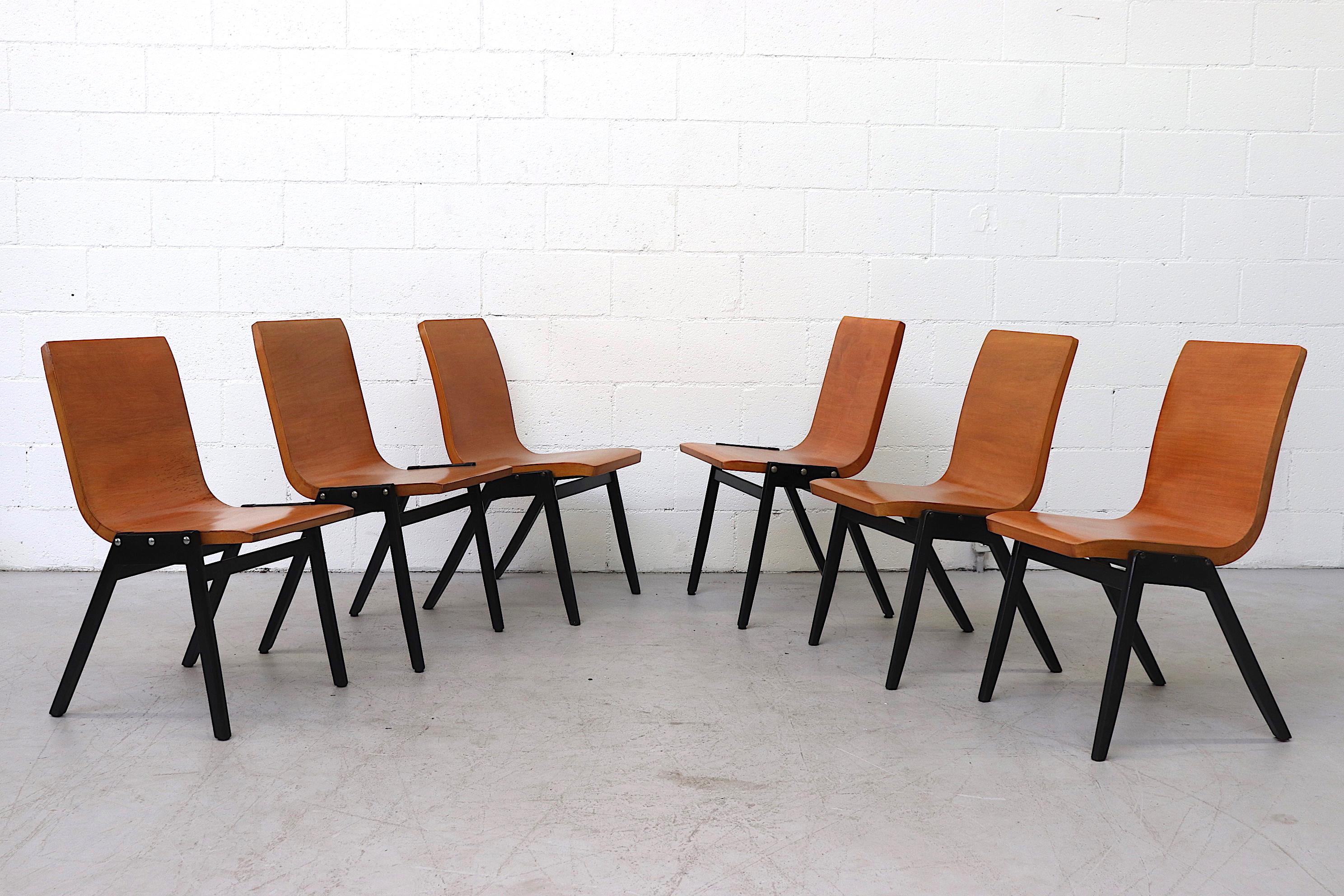 Gorgeous Set of 6 assorted Stacking Chairs designed by the Austrian architect Roland Rainer for the Vienna City Hall in 1952. Light Natural Beech Wood Seats with Black Wood Frame. Delicate Thin Bentwood Seating Surface. Not an exact set, but all