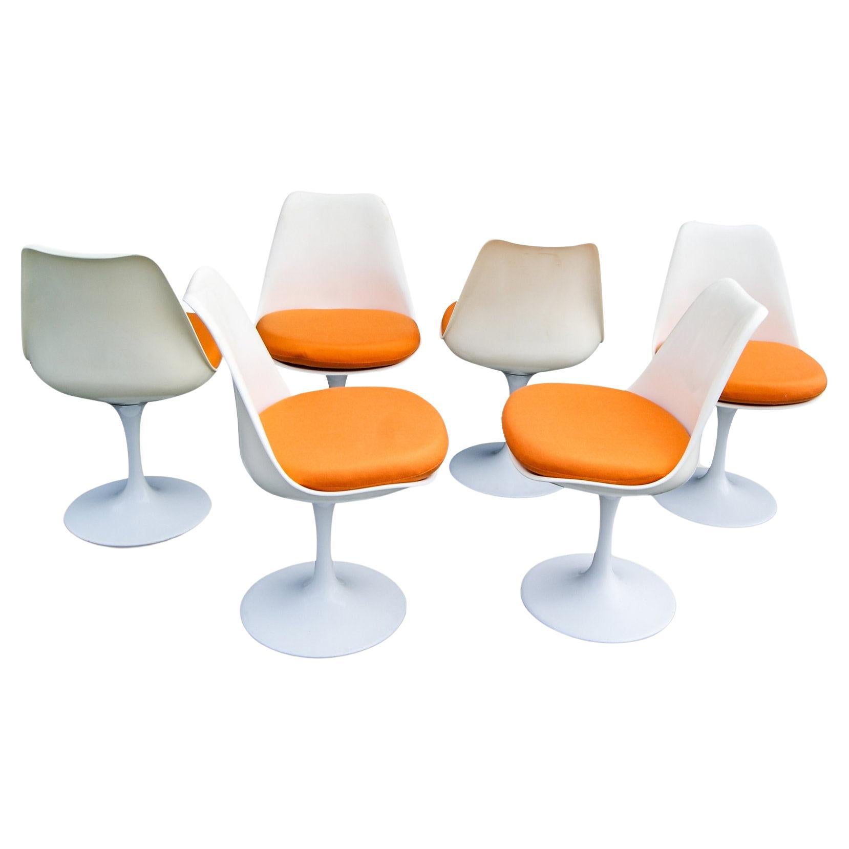 Mid-Century Modern Set of 6 Rudi Bonzanini Fibreglass Tulip Dining Chairs