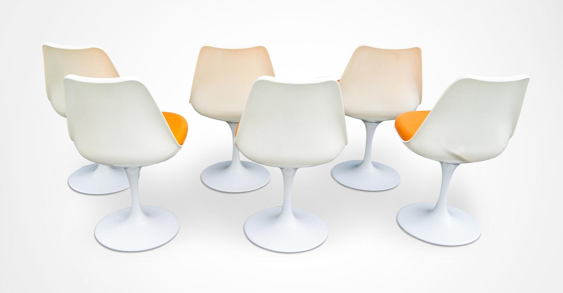 Set of 6 Rudi Bonzanini Fibreglass Tulip Dining Chairs In Good Condition In Torquay, GB