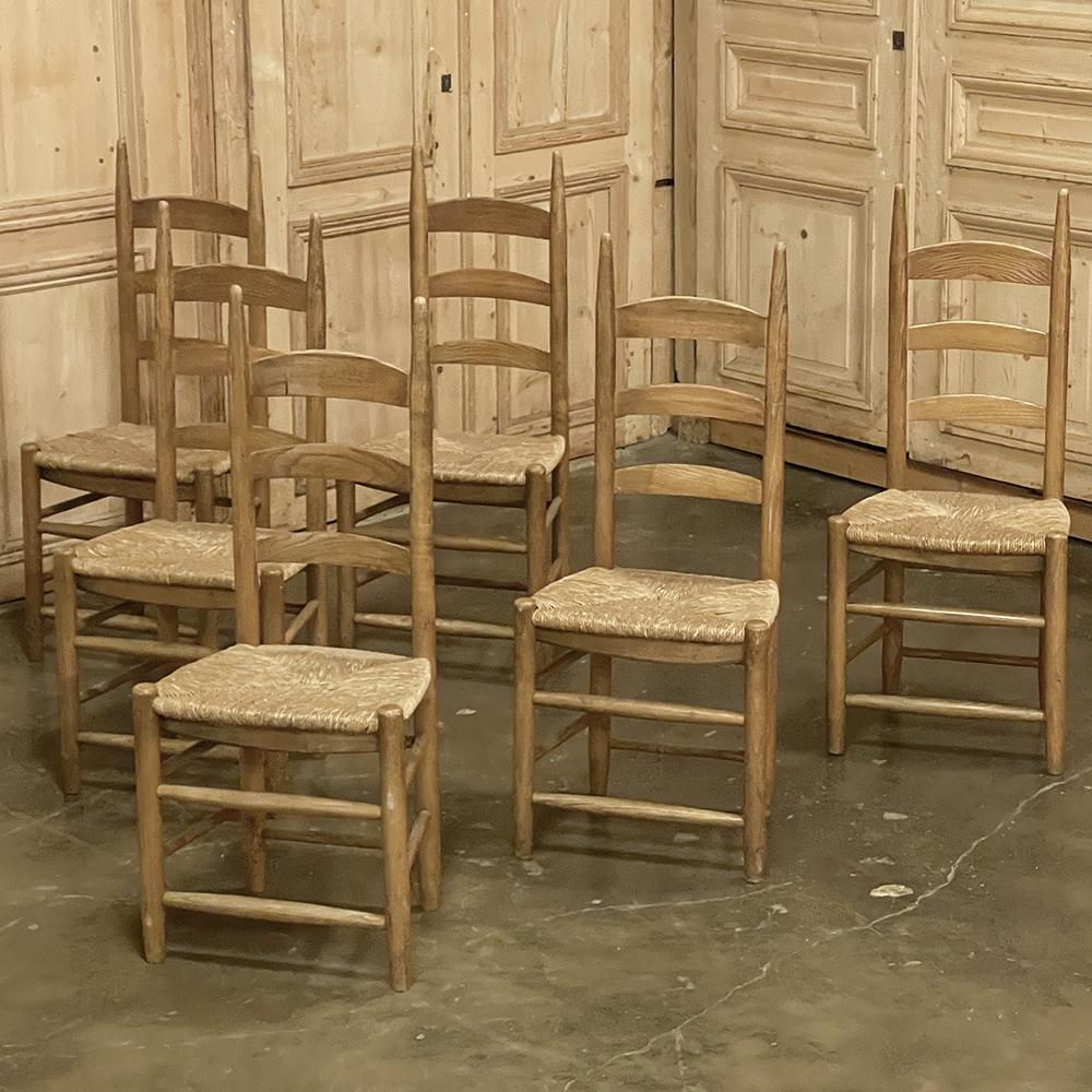 Hand-Crafted Set of 6 Rustic Country French Rush Seat Dining Chairs