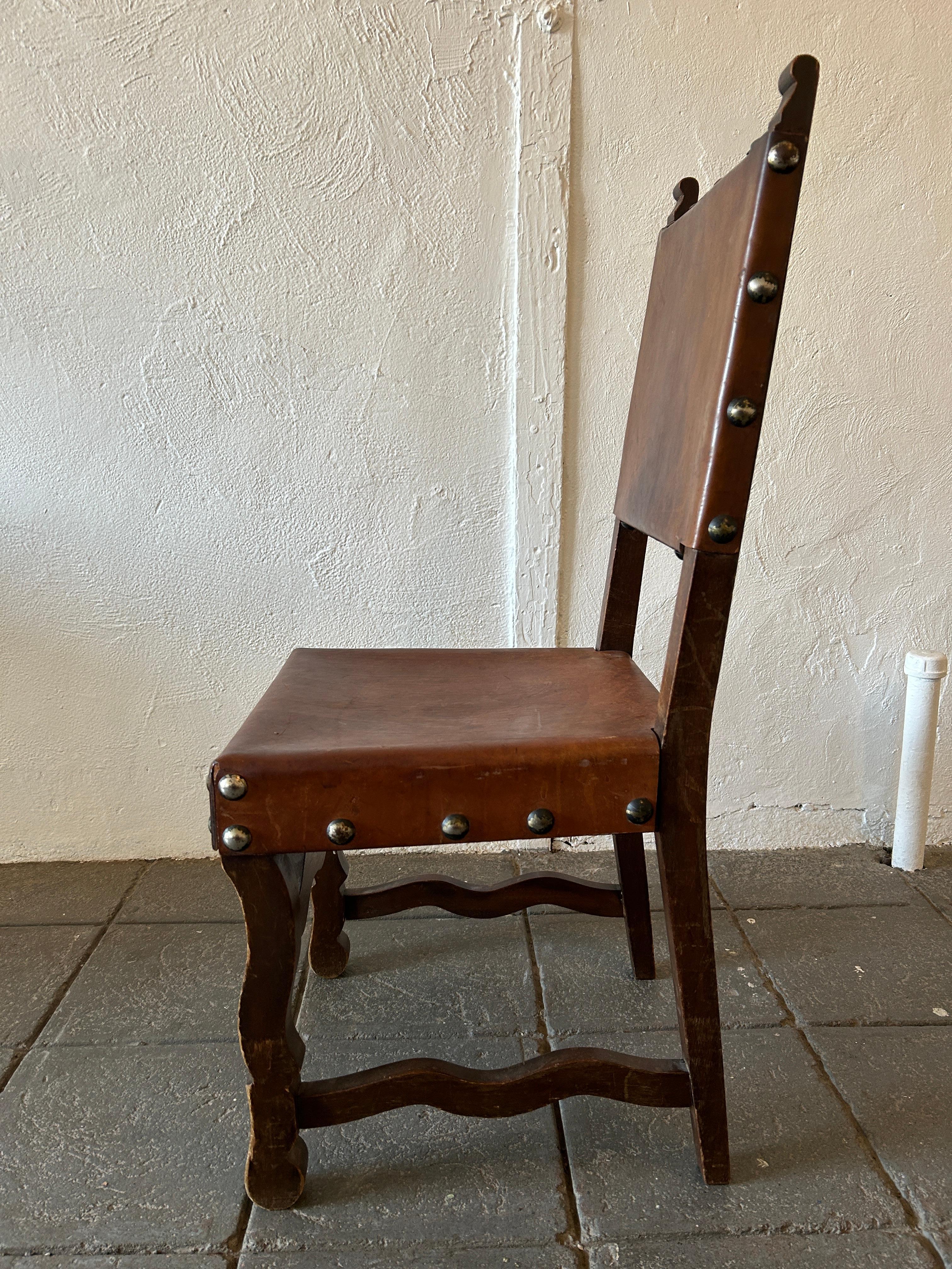 spanish elm wood