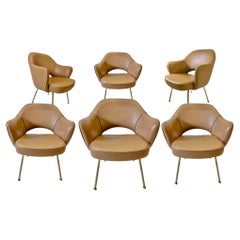 Juego de 6 sillones de dirección Saarinen Piel italiana tostada con patas tubulares doradas