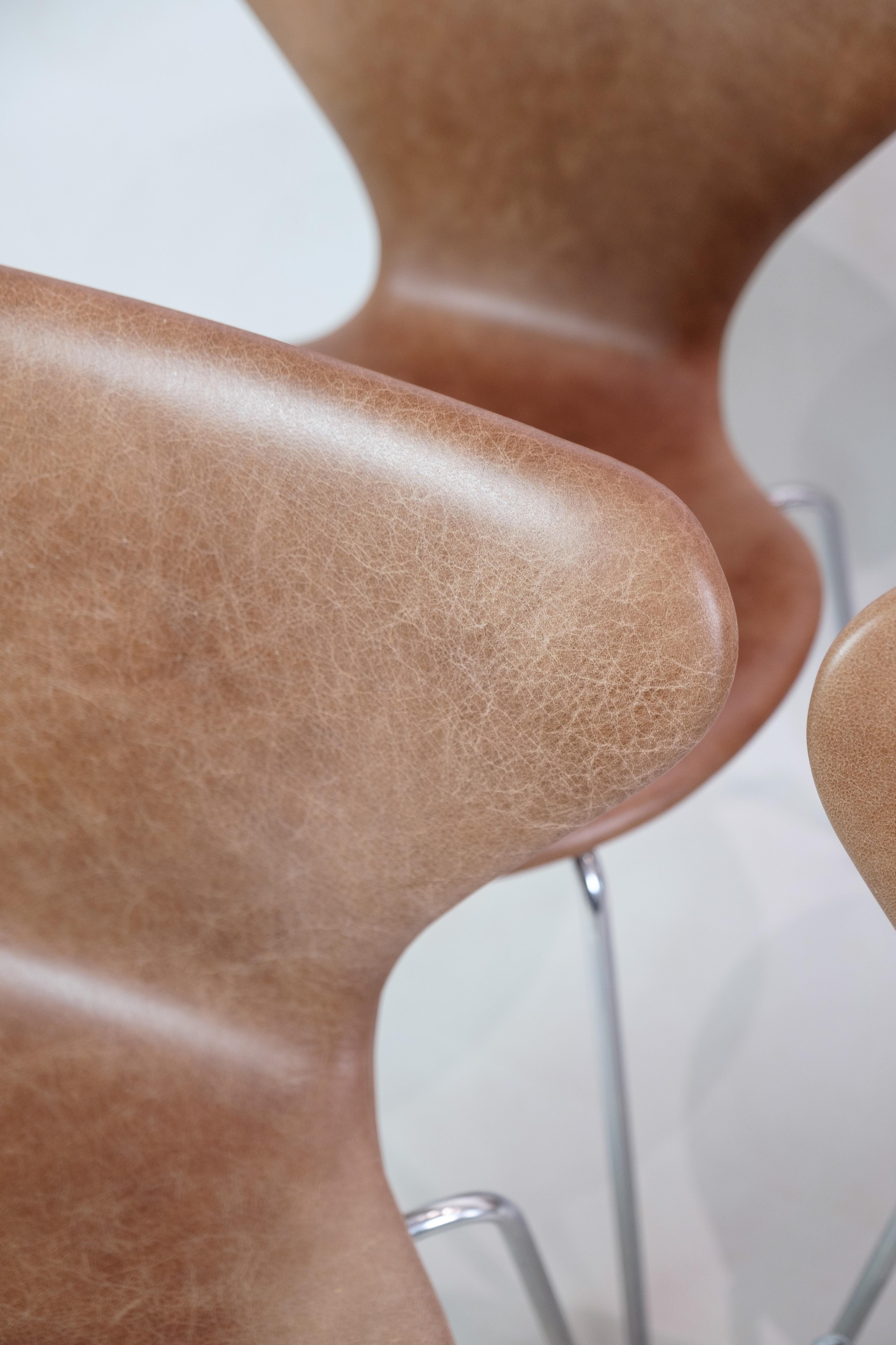 Set of 6 Seven Chairs, 3107, Arne Jacobsen, Fritz Hansen For Sale 3