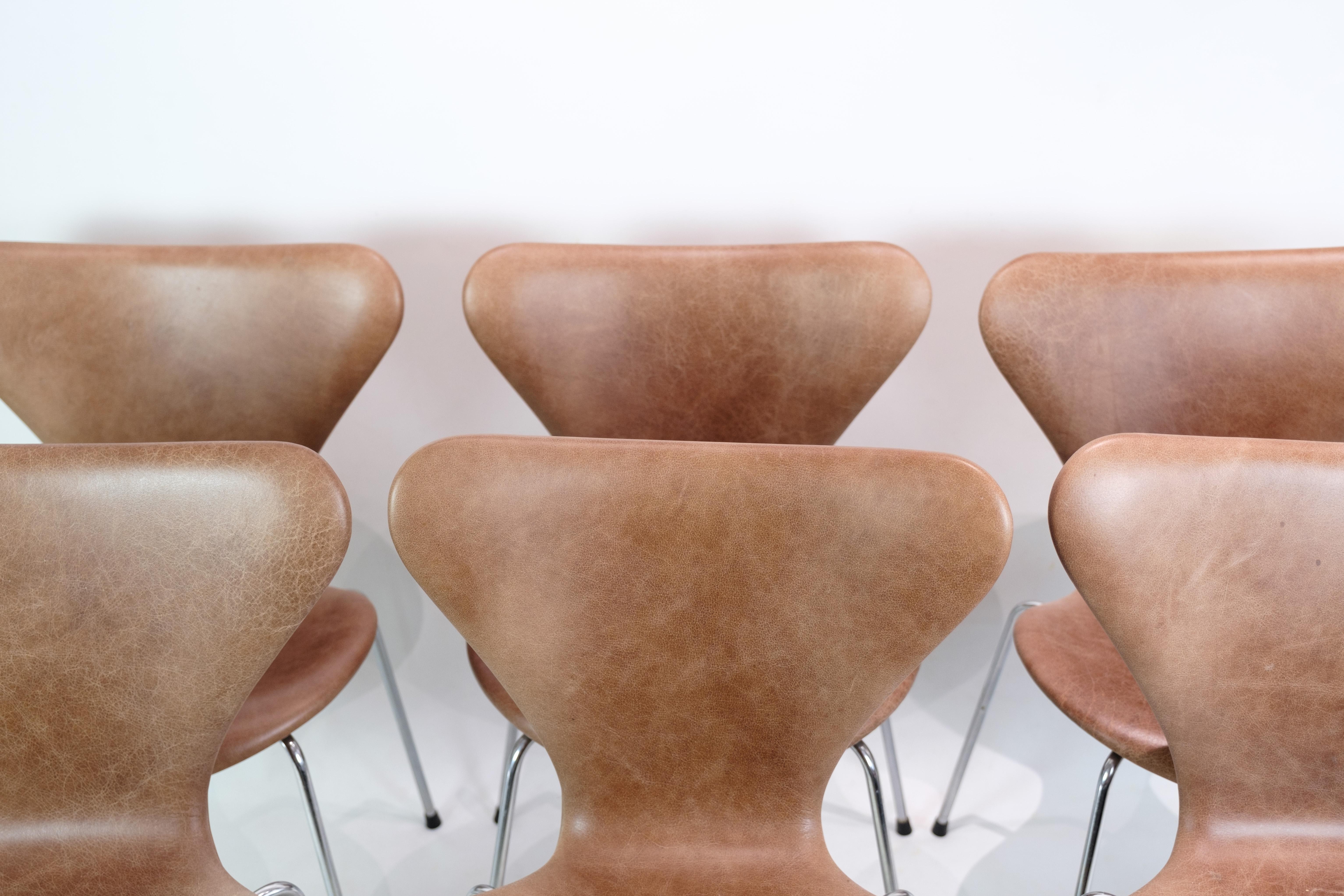 Set of 6 Seven Chairs, 3107, Arne Jacobsen, Fritz Hansen For Sale 1