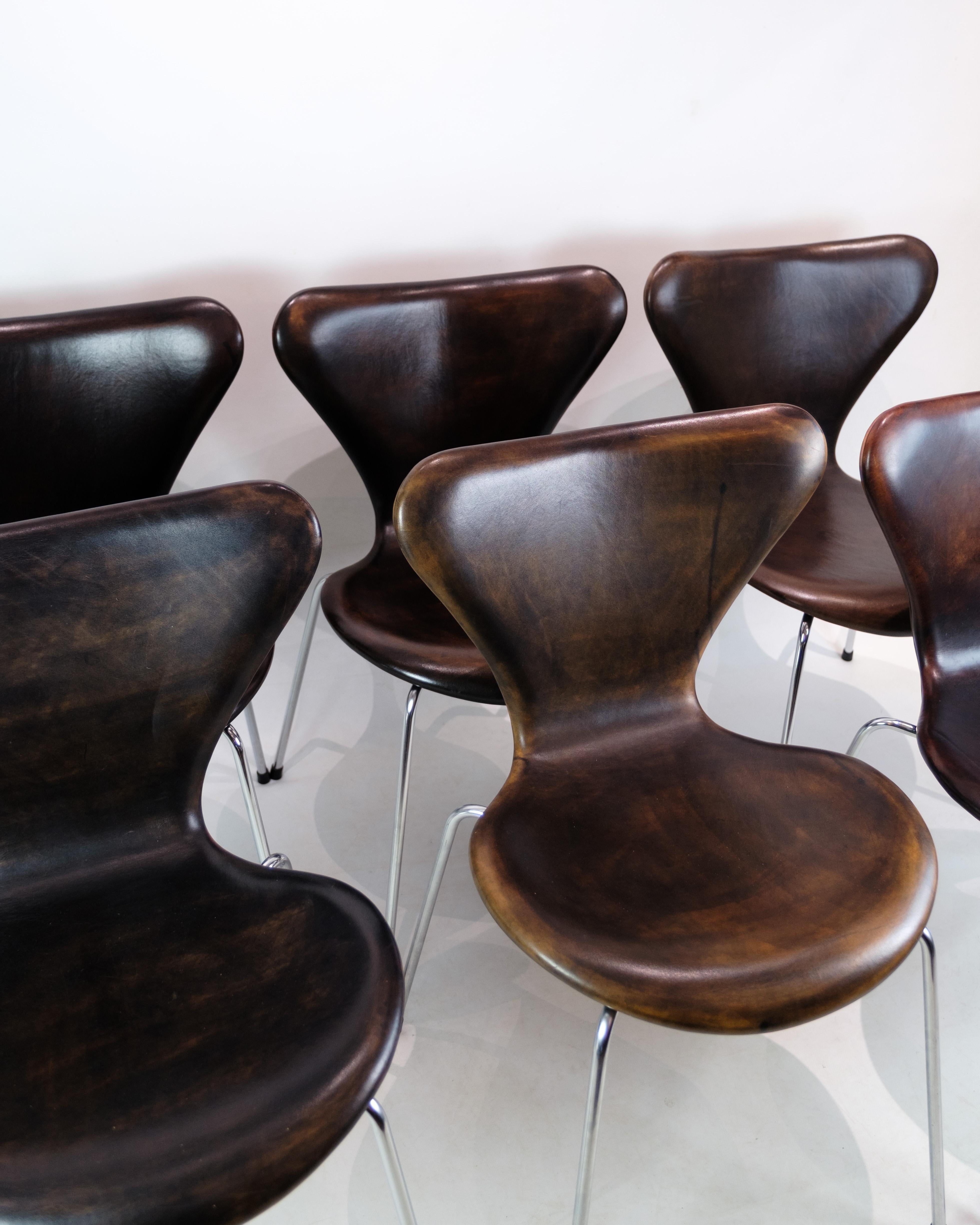 Set of 6 Seven Chairs, 3107, Arne Jacobsen, Fritz Hansen For Sale 1