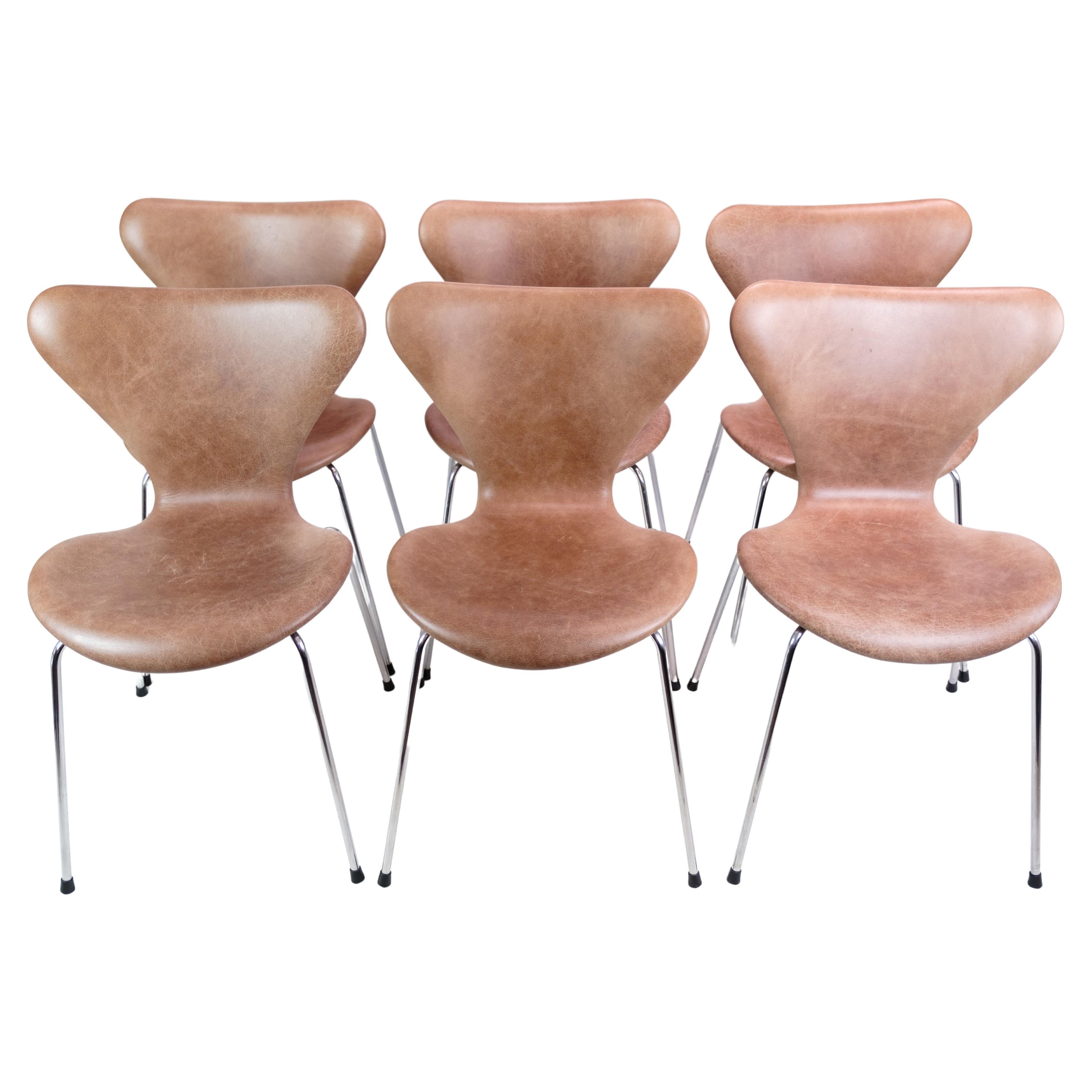 Set of 6 Seven Chairs, 3107, Arne Jacobsen, Fritz Hansen For Sale
