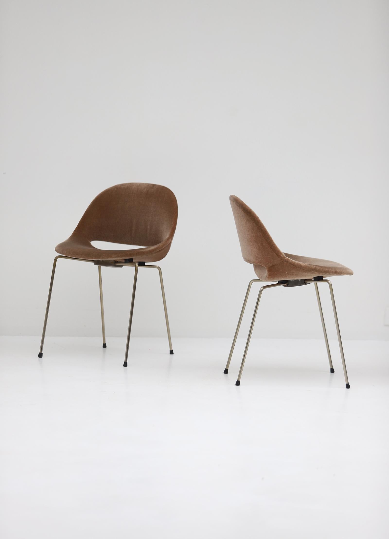 Mid-Century moderno Set di 6 sedie da pranzo SL58 di Léon Stynen, anni '50 in vendita
