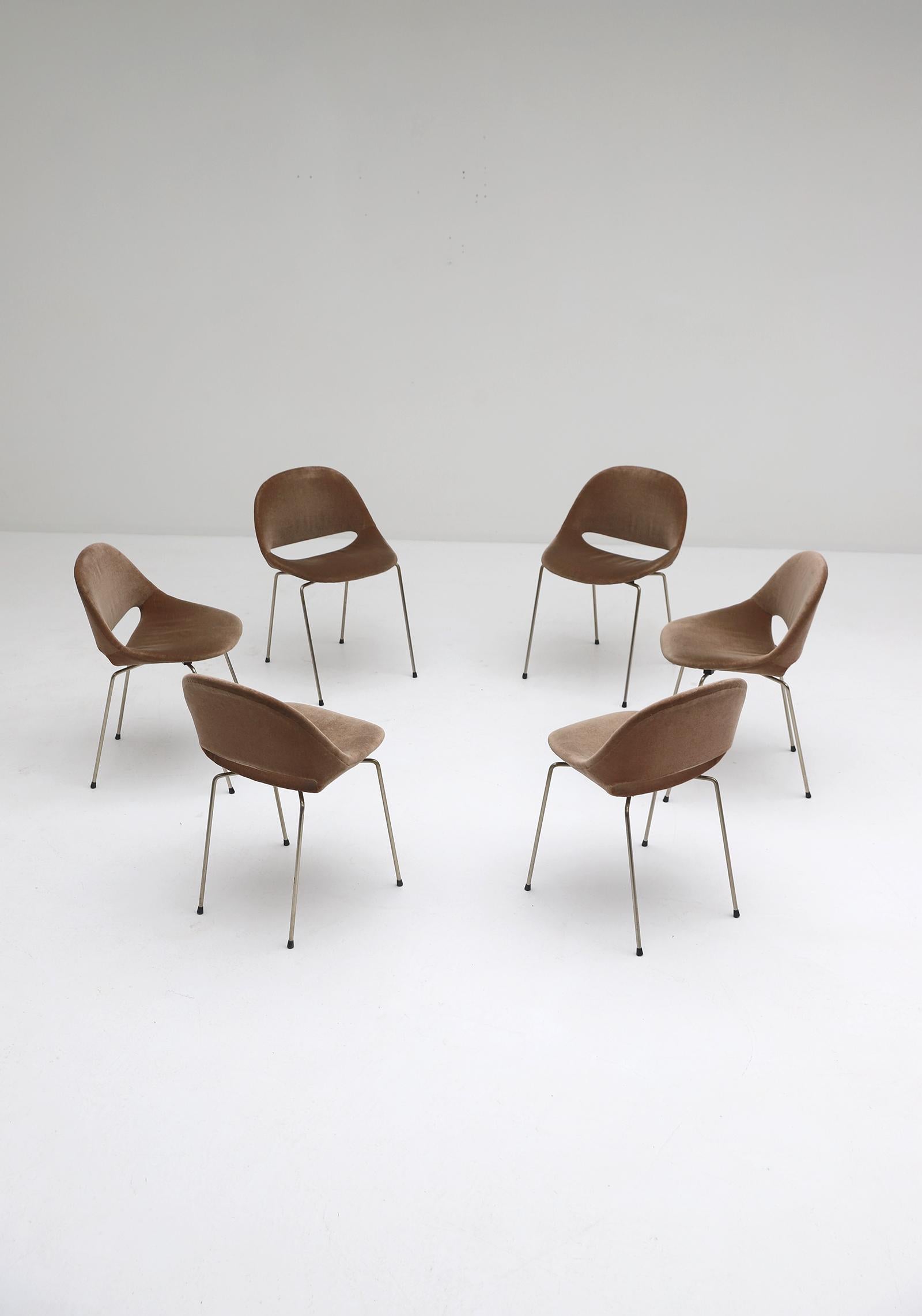 Set of 6 SL58 Dining Chairs by Léon Stynen, 1950s In Good Condition For Sale In Antwerpen, Antwerp
