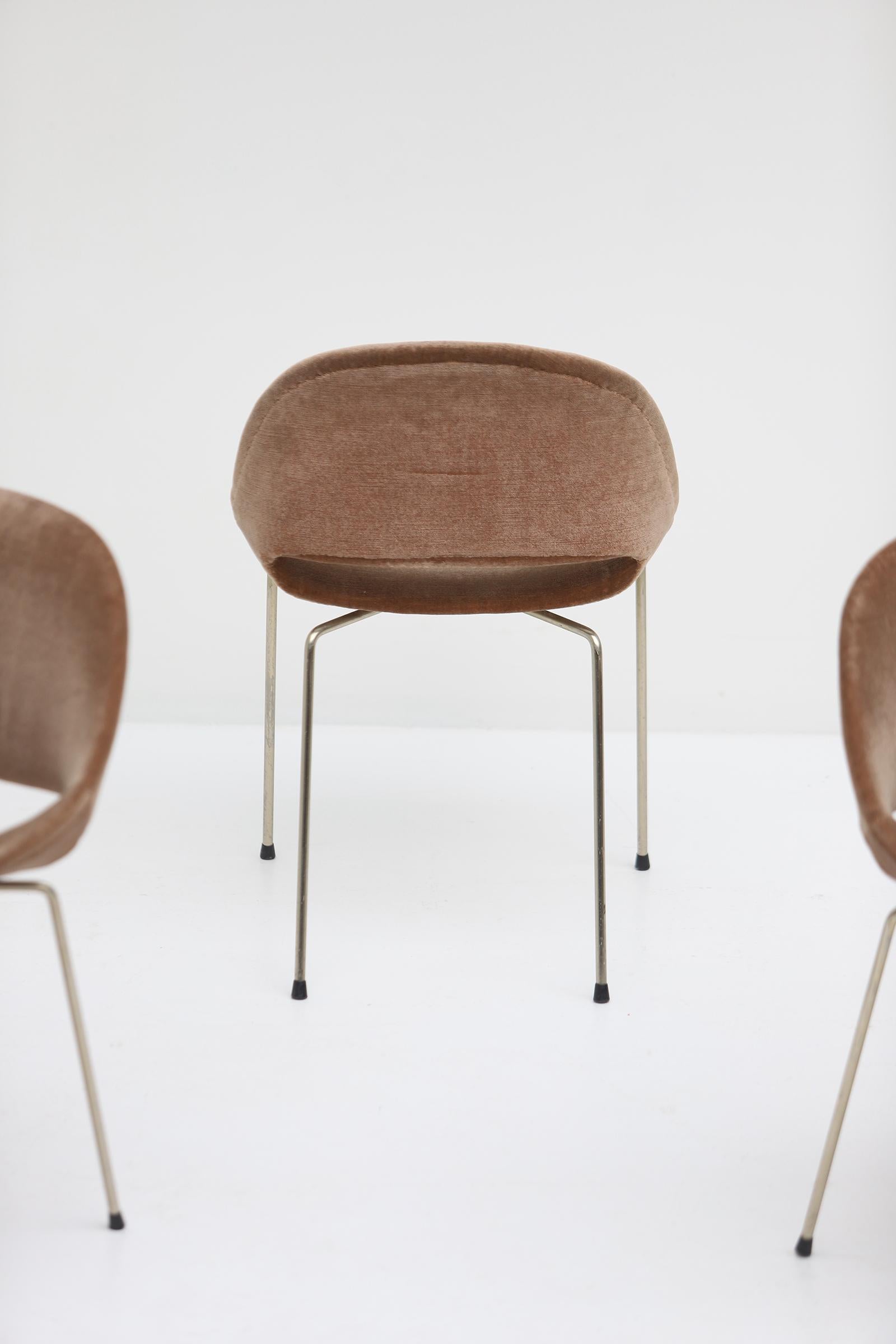 Set of 6 SL58 Dining Chairs by Léon Stynen, 1950s For Sale 2