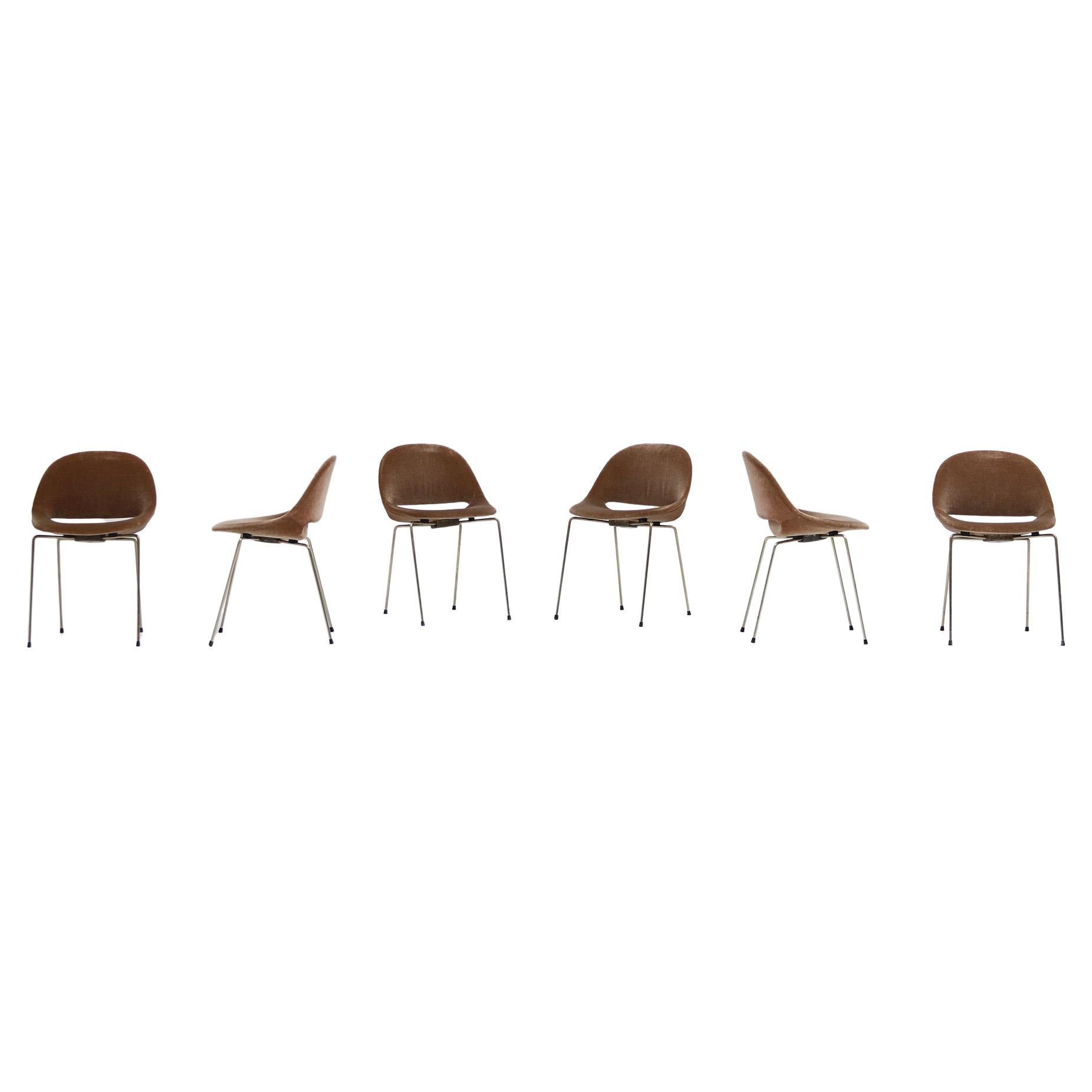 Set of 6 SL58 Dining Chairs by Léon Stynen, 1950s For Sale