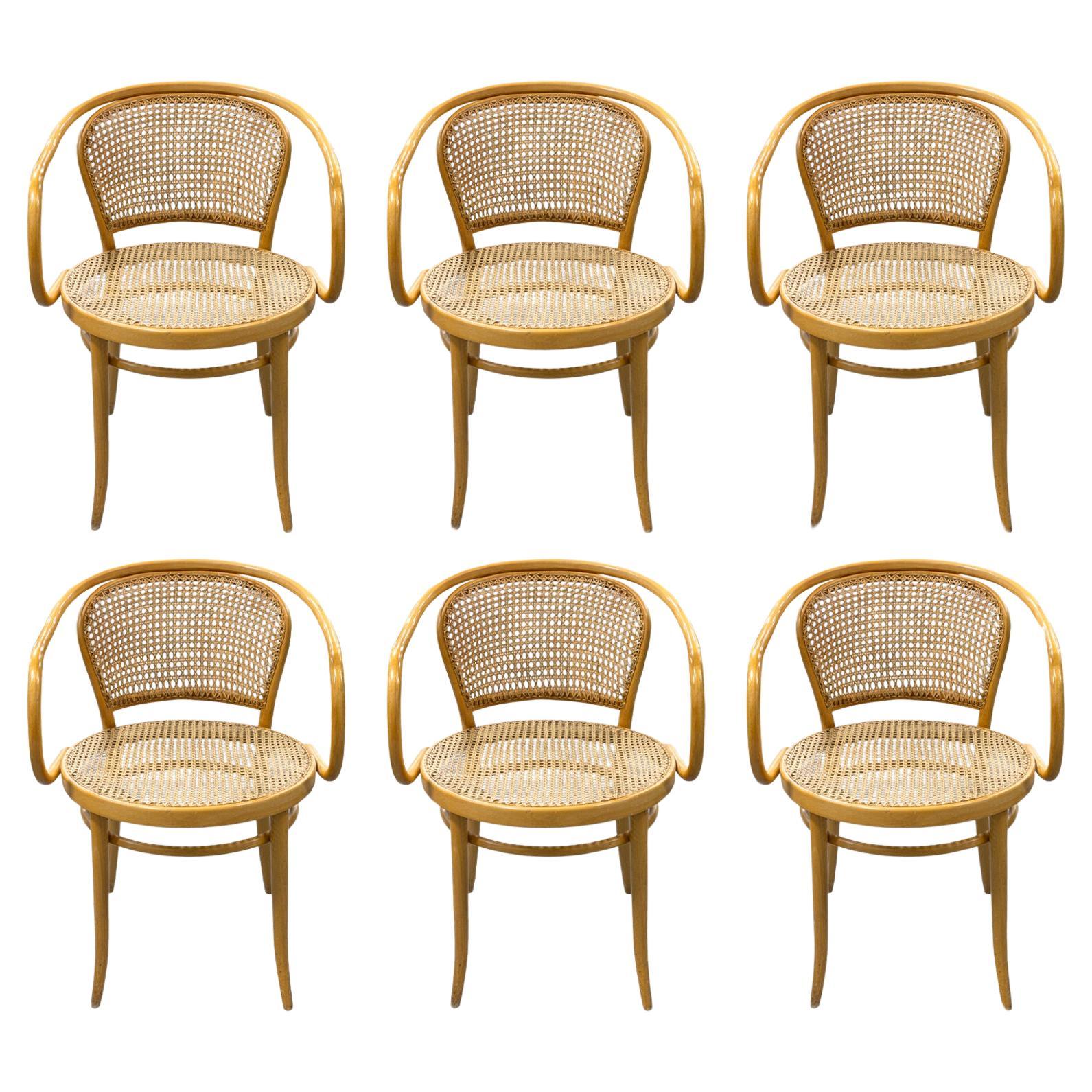 Set of 6 Stendig Beechwood and Rattan Mid Century Modern Armchair Dining Chairs For Sale