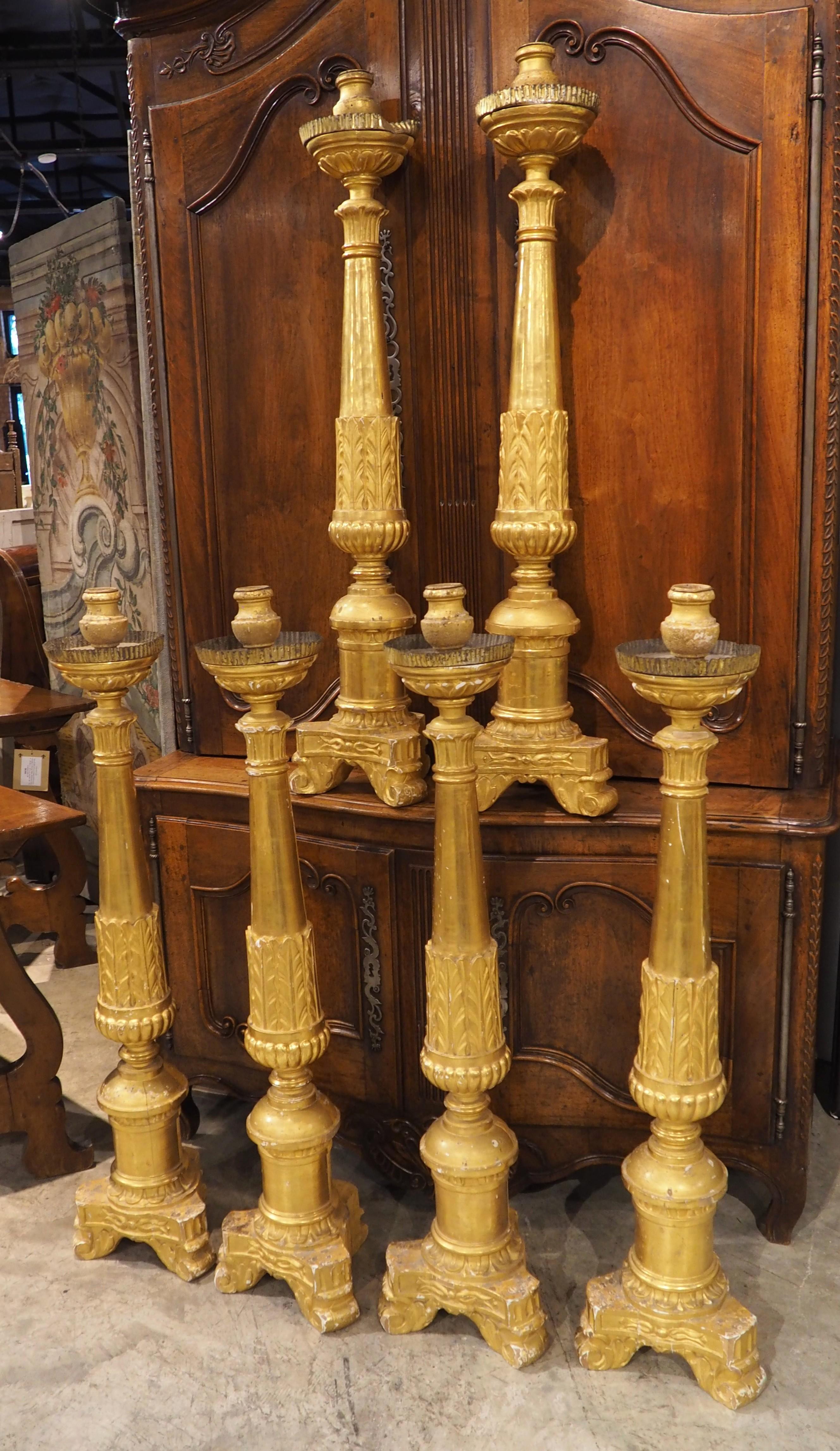 Sculpté à la main Ensemble de 6 grands chandeliers d'autel anciens en bois doré d'Italie, Circa 1810, H-46 en vente