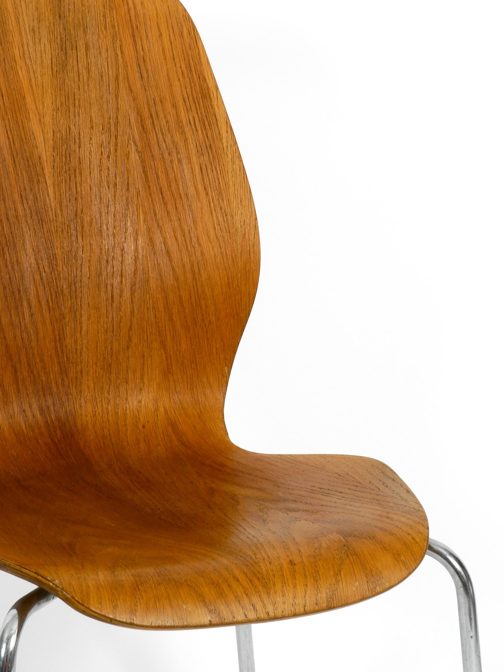 Set of 6 teak plywood chairs by Herbert Hirche for Jofa Stalmobler Denmark 8