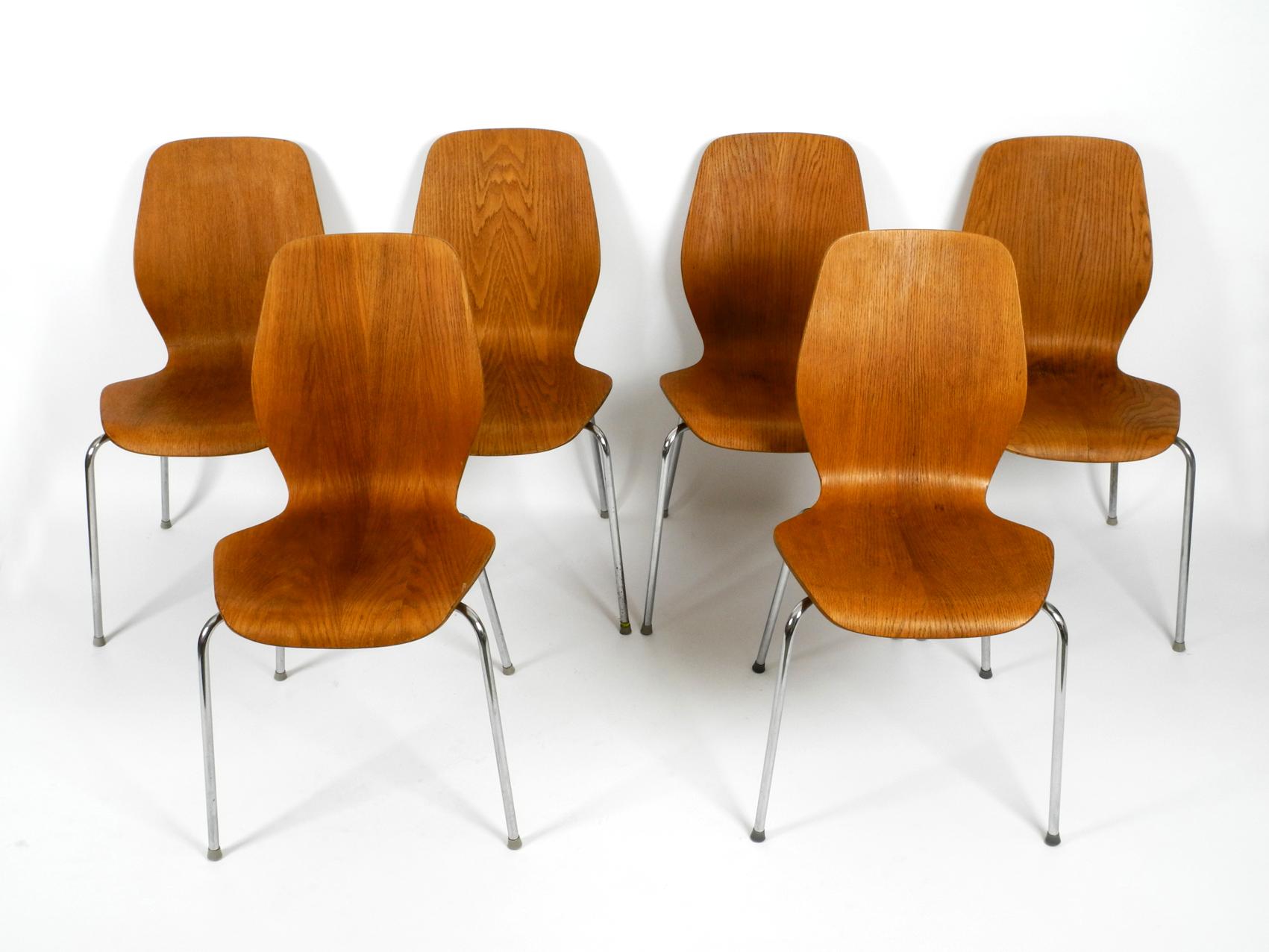 Very rare set of 6 plywood chairs by Herbert Hirche for Jofa Stalmobler. 
Made in Denmark. Beautiful Scandinavian design with beautiful wood grain. 
Massively built and very comfortable. Stackable. Chrome-plated tubular steel frame.
No damages