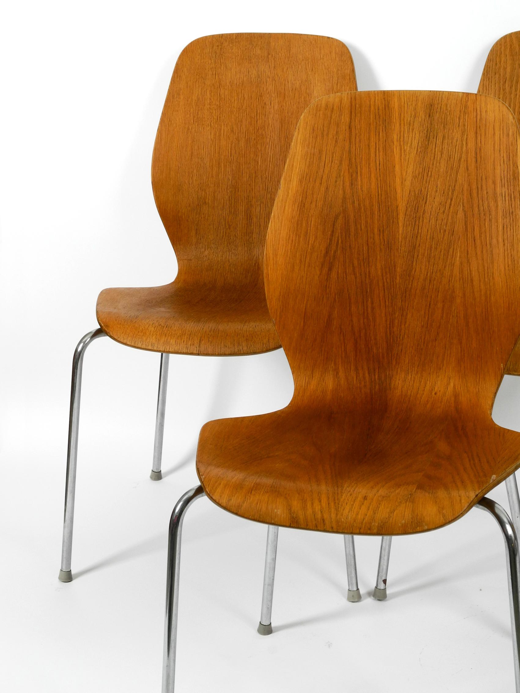 Set of 6 teak plywood chairs by Herbert Hirche for Jofa Stalmobler Denmark 13