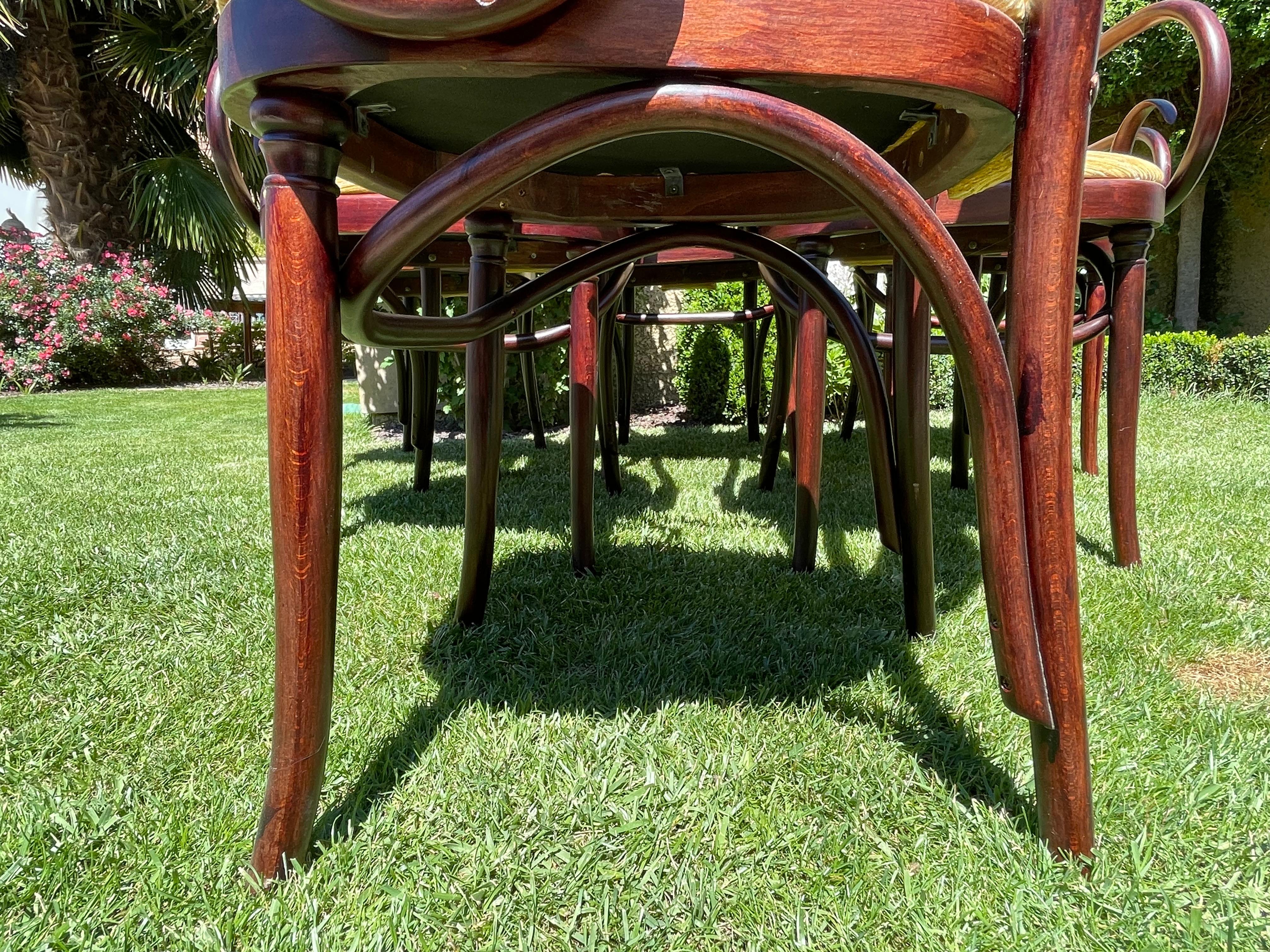 Set Of 6 Thonet Armchairs For Sale 5