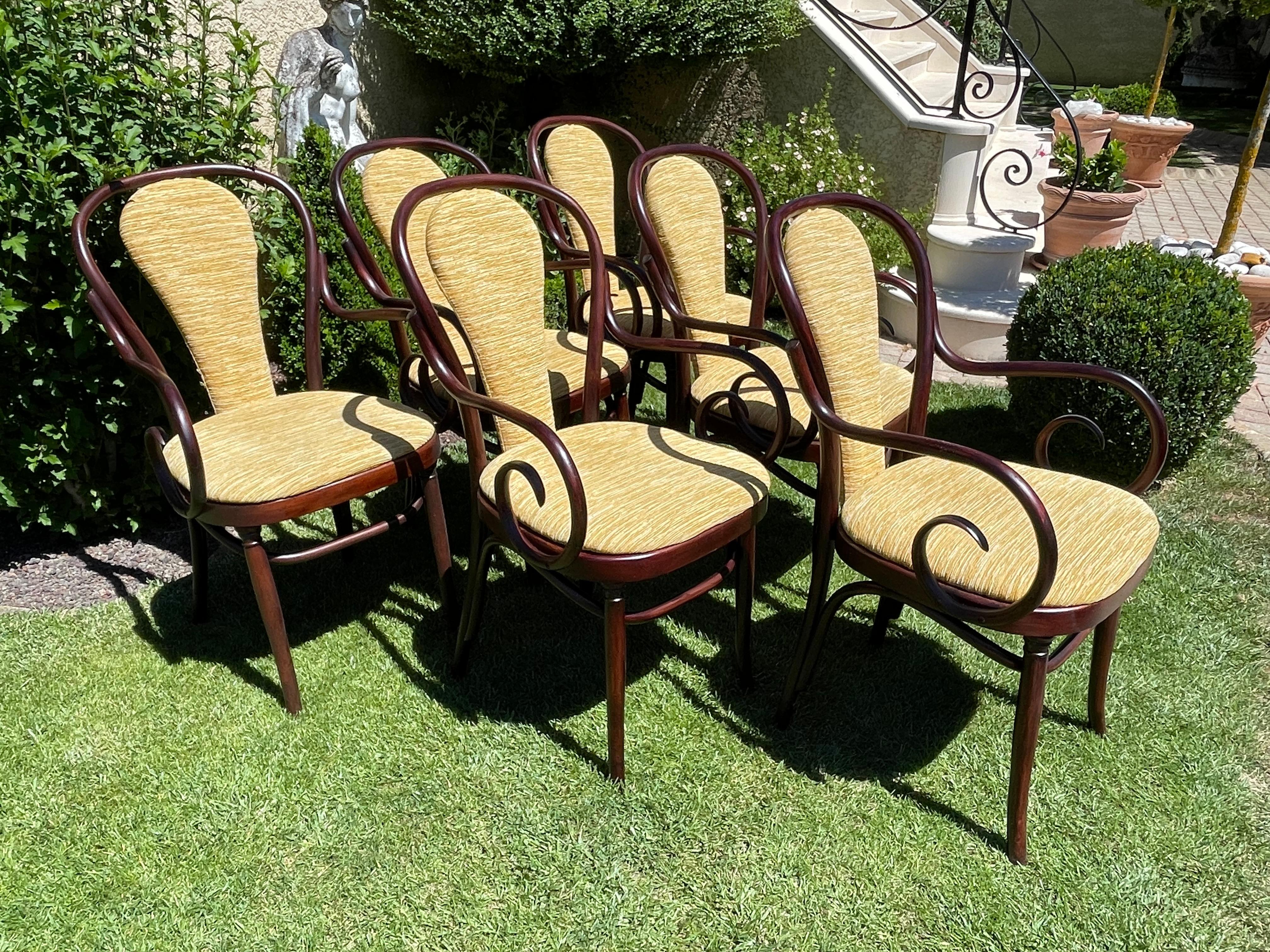 Set Of 6 Thonet Armchairs For Sale 7