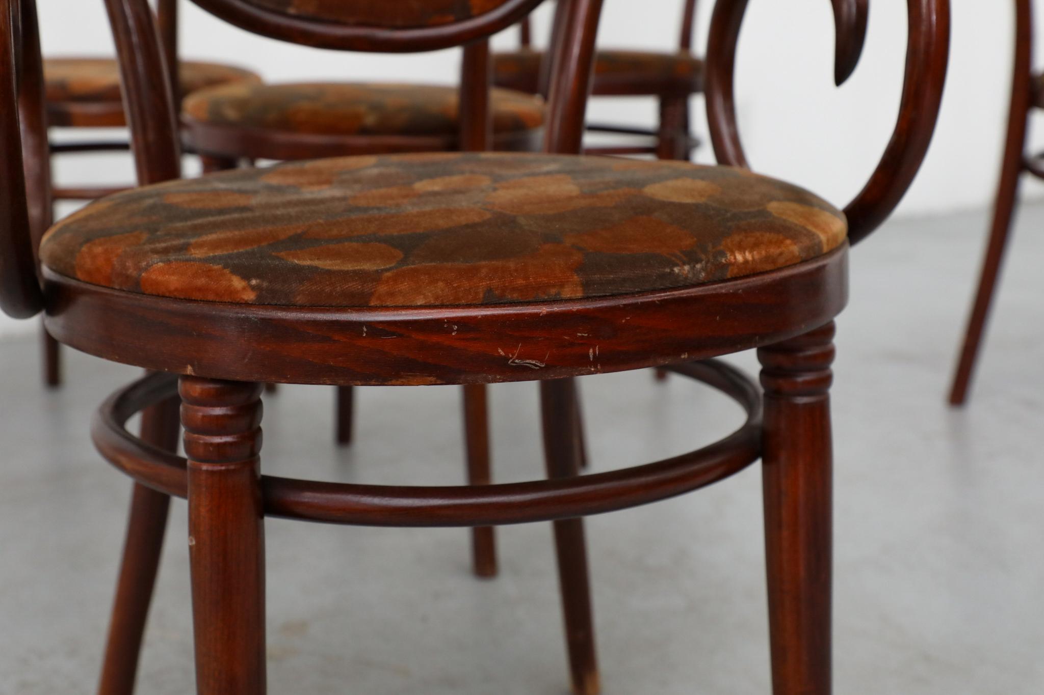 Set aus 6 Thonet Bistrostühlen aus gebogenem Holz mit Sitzen und Rückenlehne aus Herbstsamt im Angebot 11