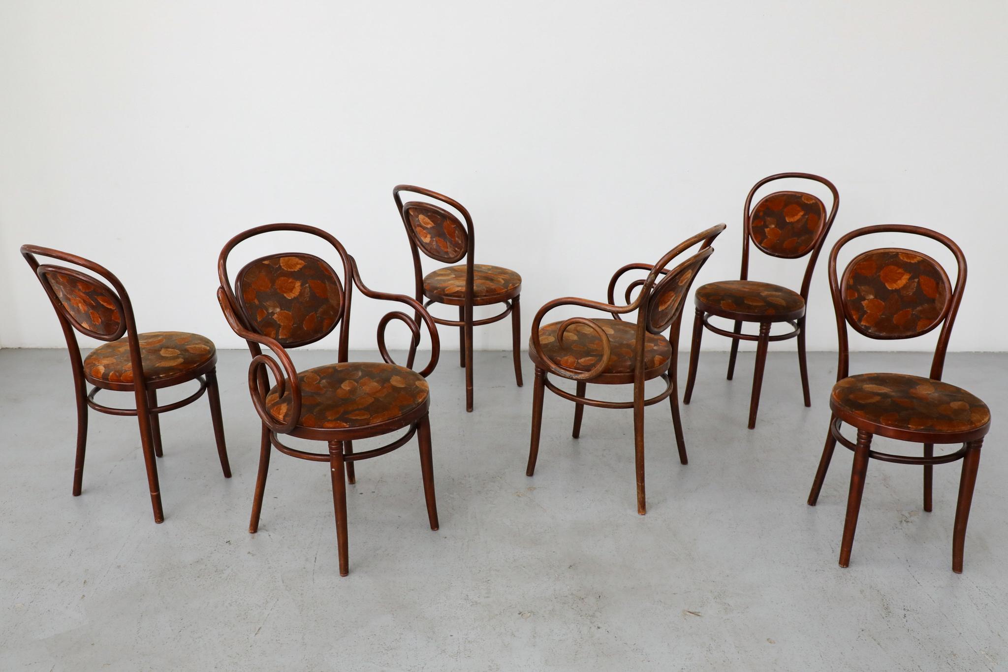 Ein sehr begehrtes und stilvolles Set von sechs Vintage-Esszimmerstühlen des berühmten österreichischen Herstellers Thonet, das direkt aus Europa bezogen wird. Dieses komplette Set besteht aus vier armlosen Beistellstühlen und zwei großzügigen