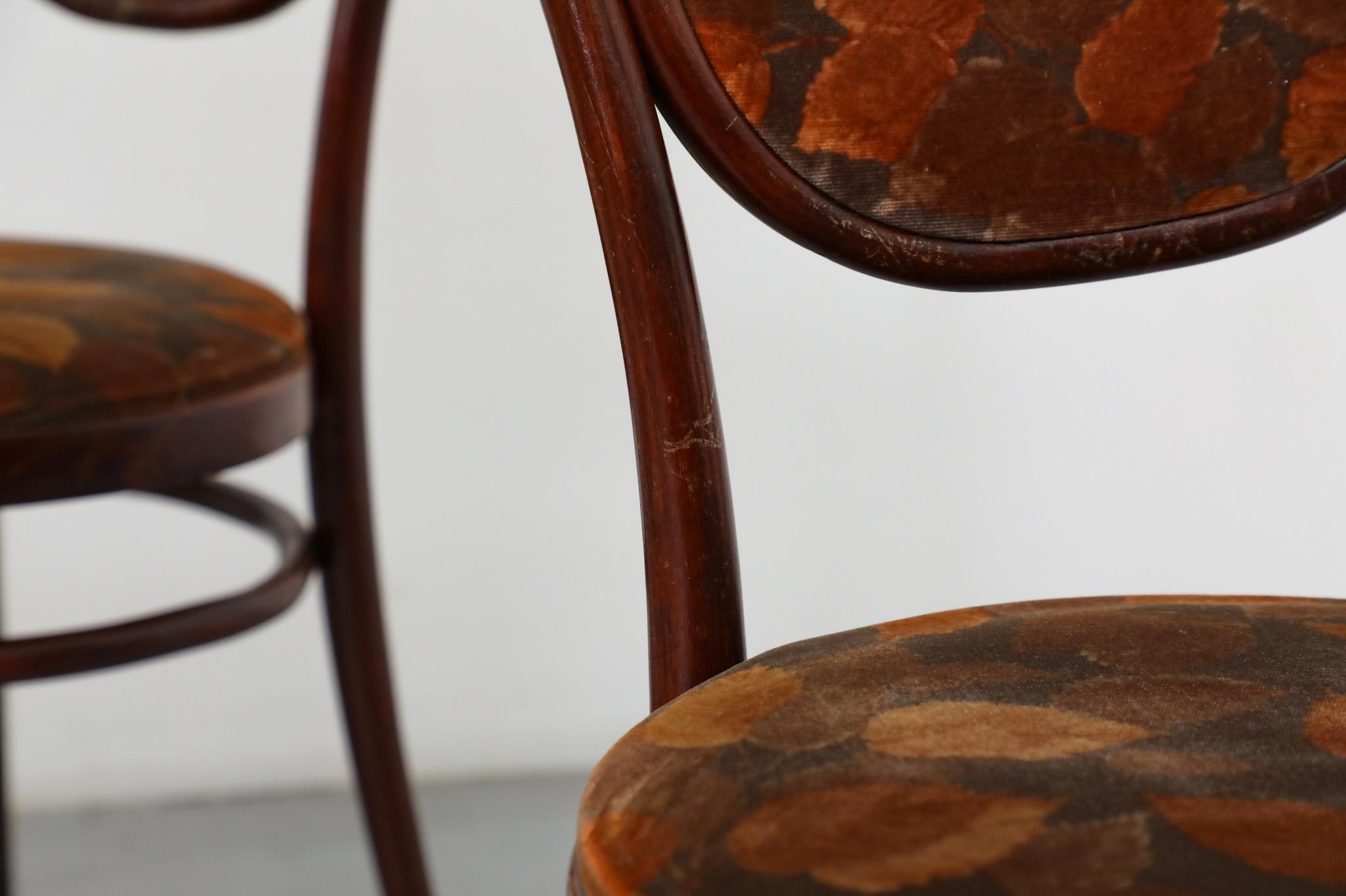 Set aus 6 Thonet Bistrostühlen aus gebogenem Holz mit Sitzen und Rückenlehne aus Herbstsamt im Angebot 13