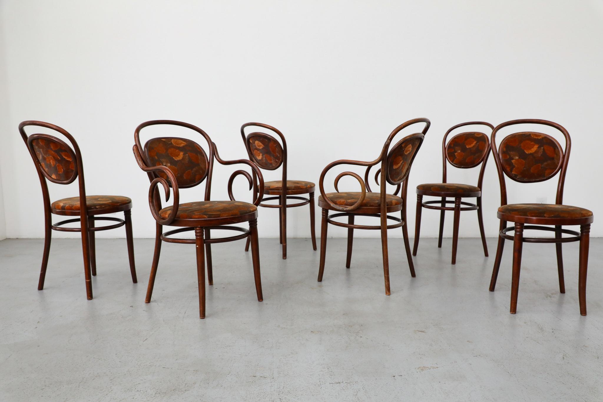 Set aus 6 Thonet Bistrostühlen aus gebogenem Holz mit Sitzen und Rückenlehne aus Herbstsamt (Moderne der Mitte des Jahrhunderts) im Angebot