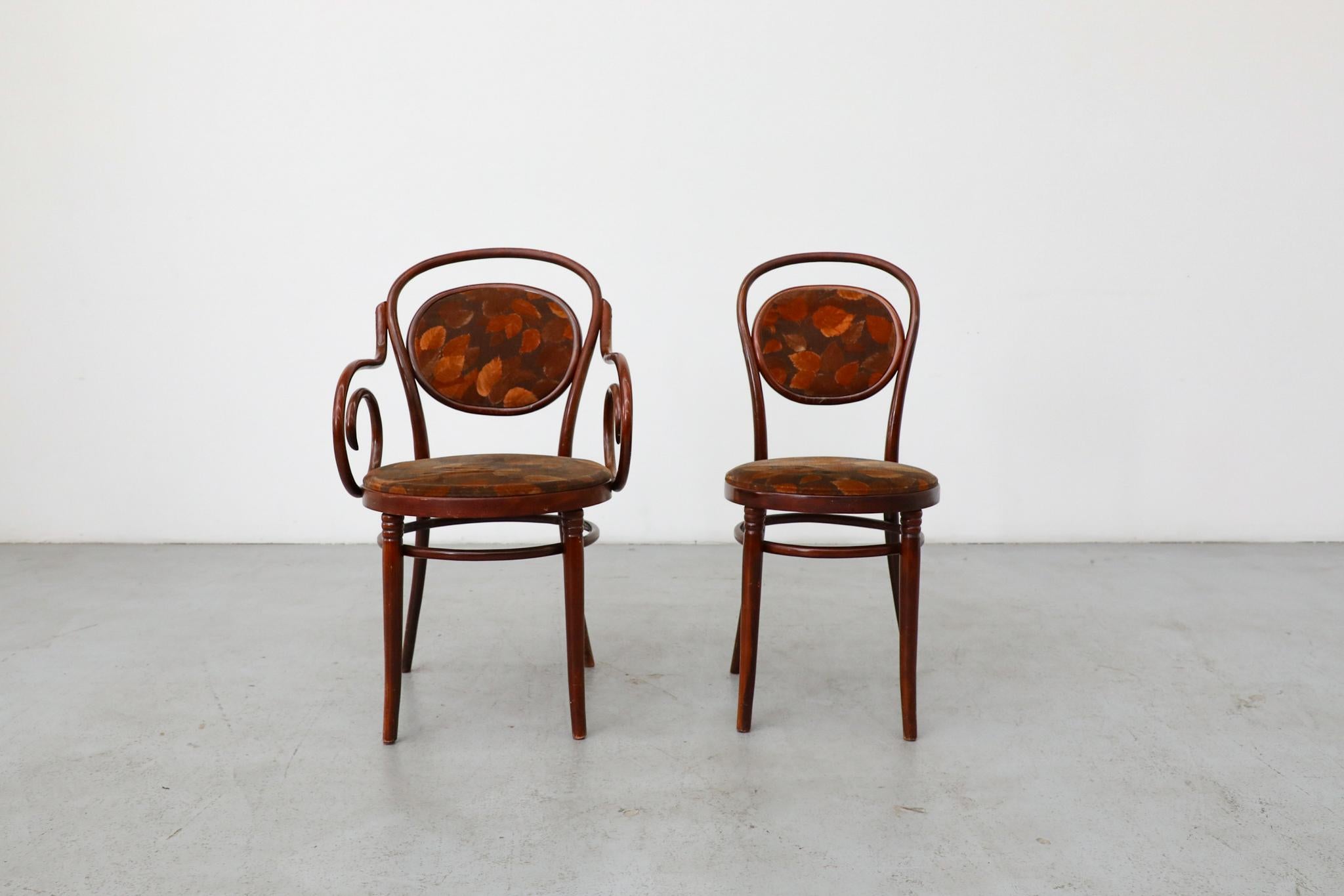 Set aus 6 Thonet Bistrostühlen aus gebogenem Holz mit Sitzen und Rückenlehne aus Herbstsamt (Österreichisch) im Angebot