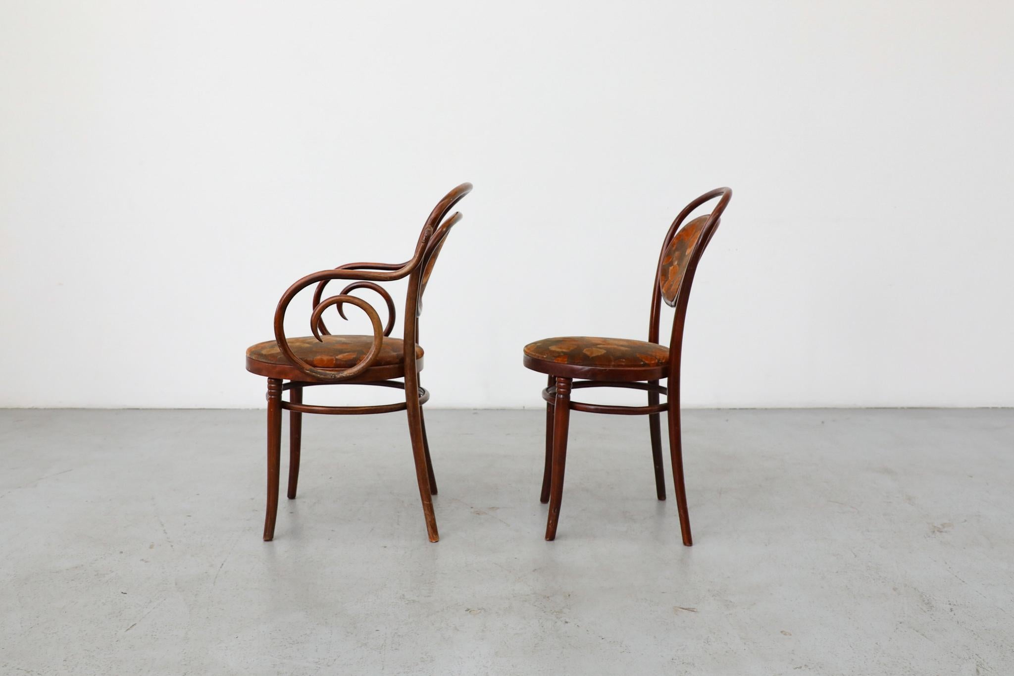 Set aus 6 Thonet Bistrostühlen aus gebogenem Holz mit Sitzen und Rückenlehne aus Herbstsamt (20. Jahrhundert) im Angebot